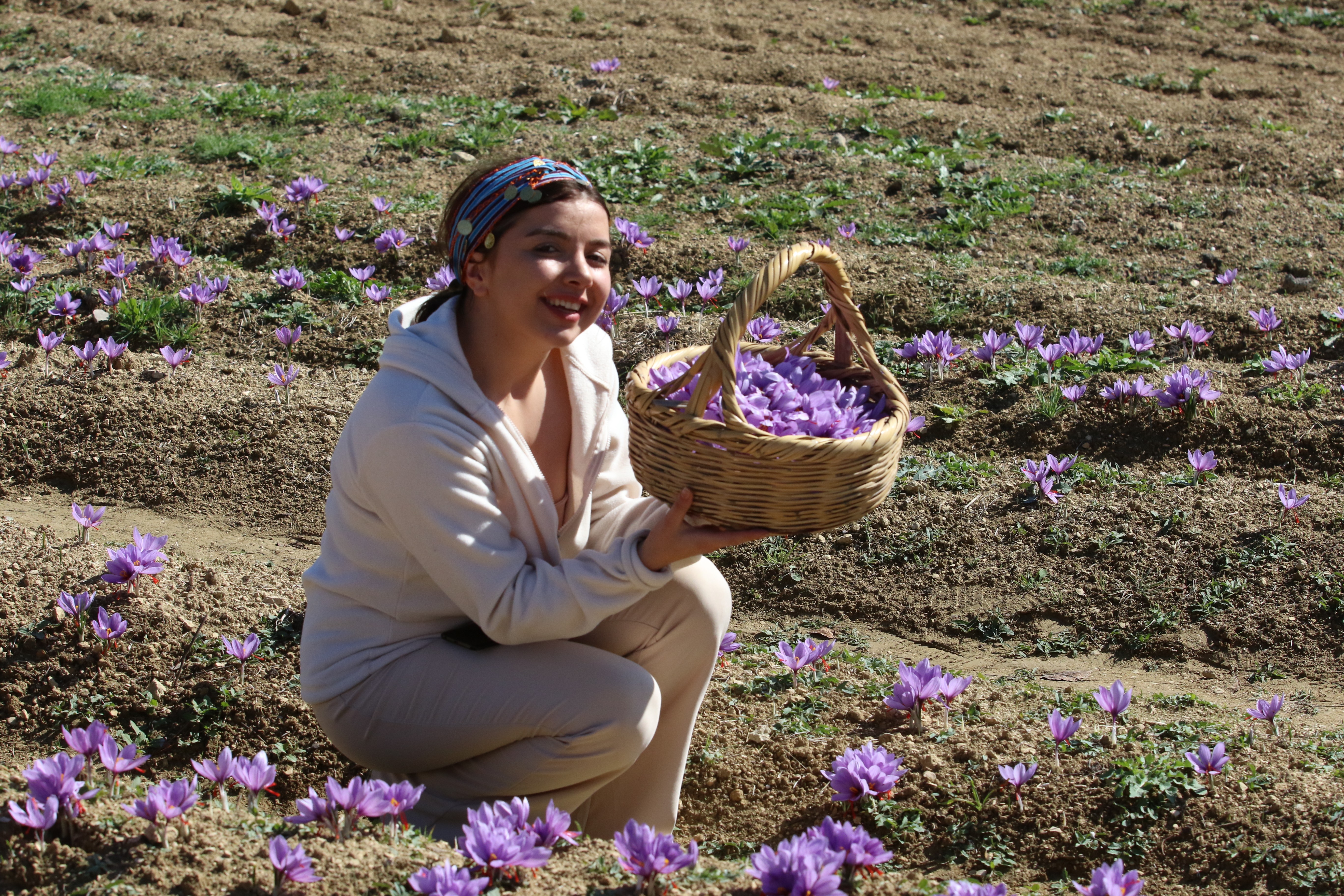 Turistlerin yeni gözdesi 'safran tarlaları'