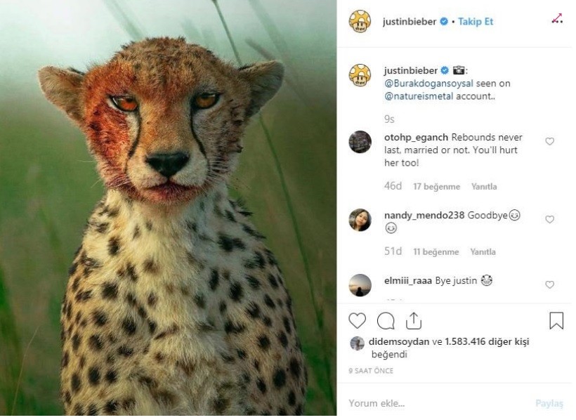 Justin Bieber, doğa fotoğrafçısı Burak Doğansoysal’ın fotoğrafını paylaştı