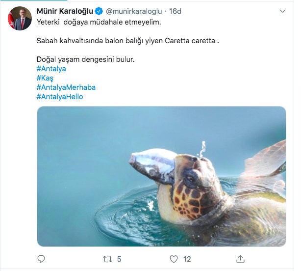 Validen balon balığı yiyen caretta caretta paylaşımı