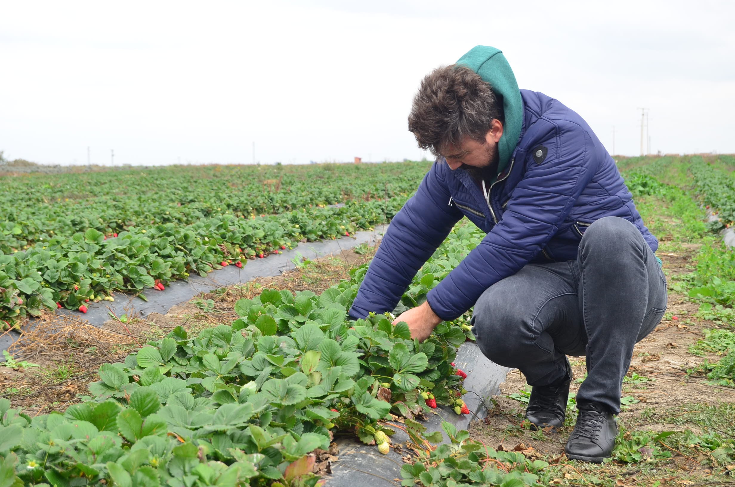 Doktorasını dondurdu çiftçi oldu