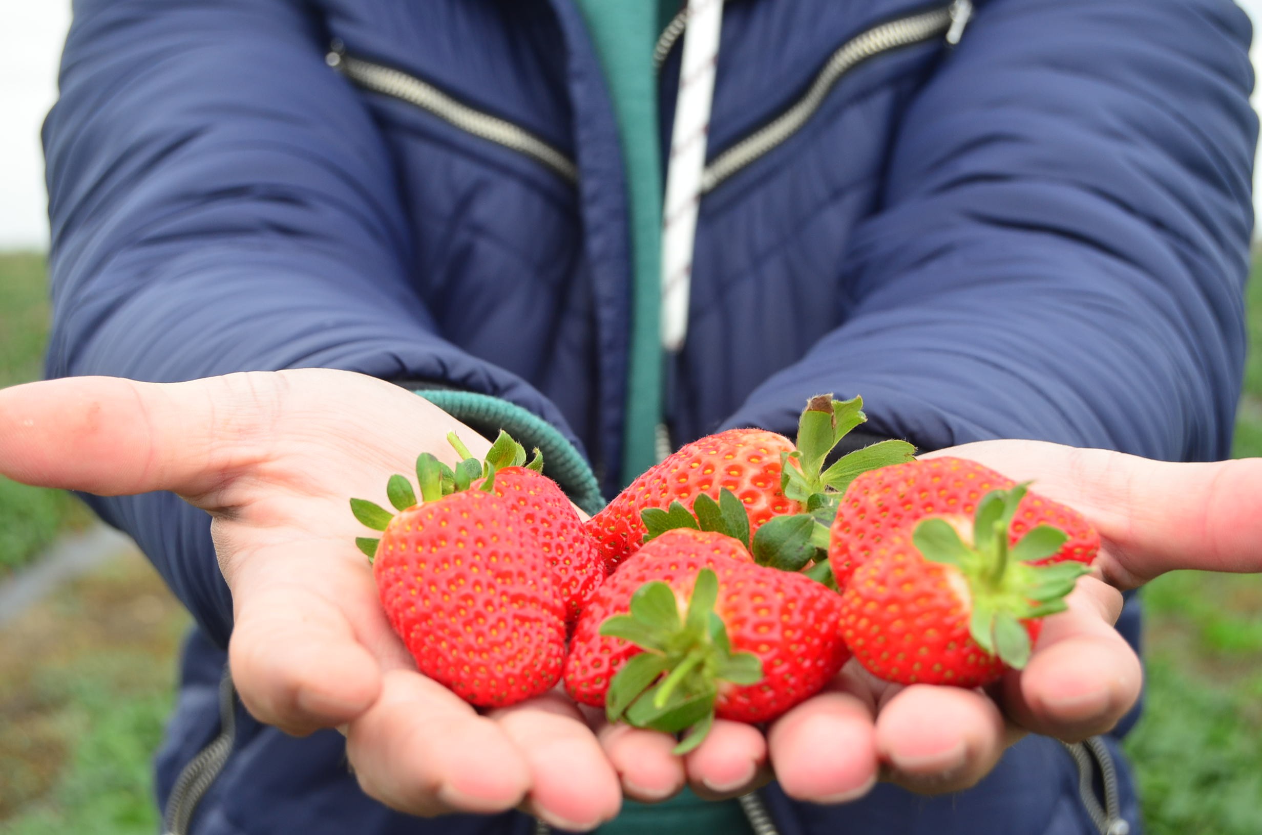 Doktorasını dondurdu çiftçi oldu