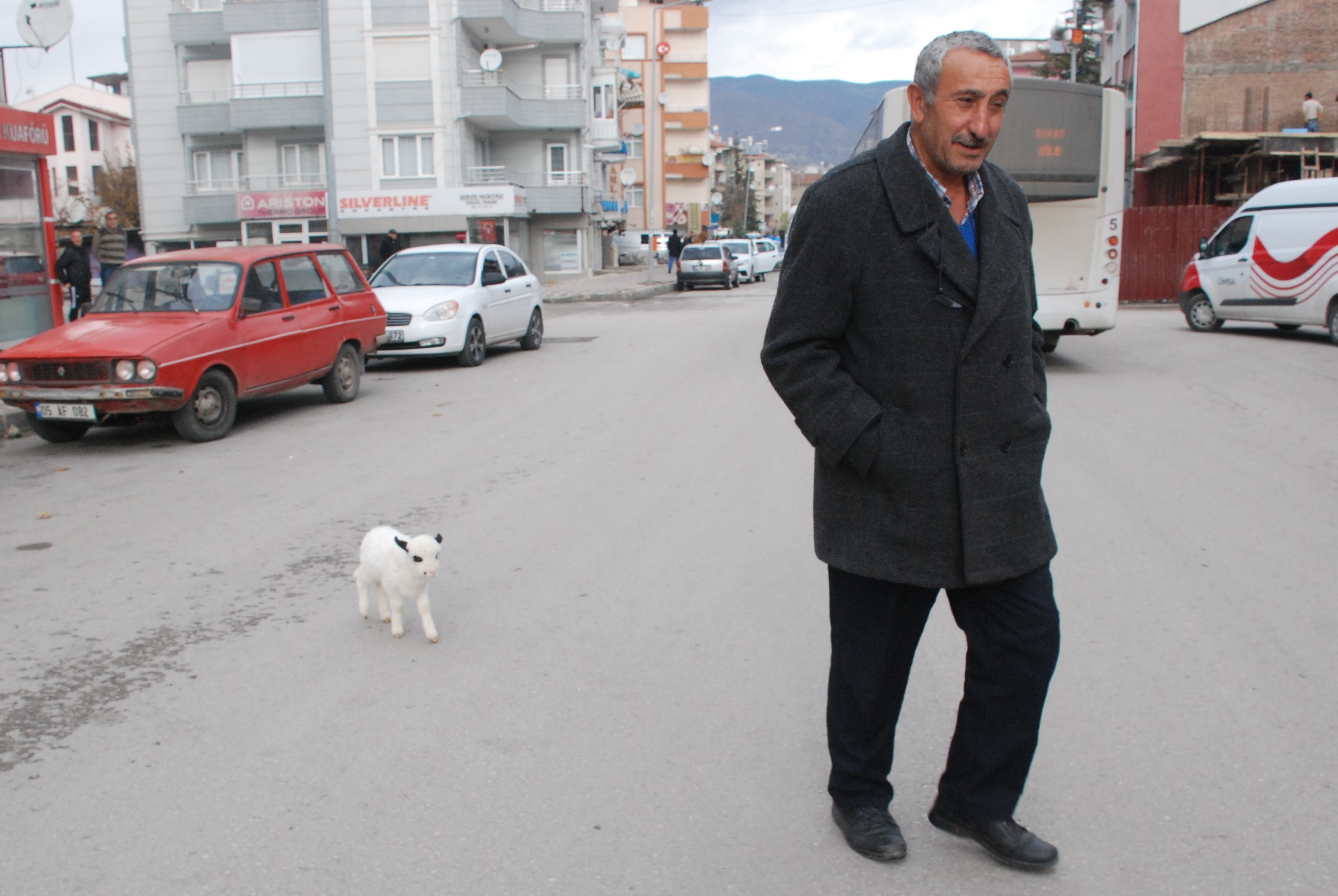Yavru kuzuya evlerinde bebek gibi bakıyorlar