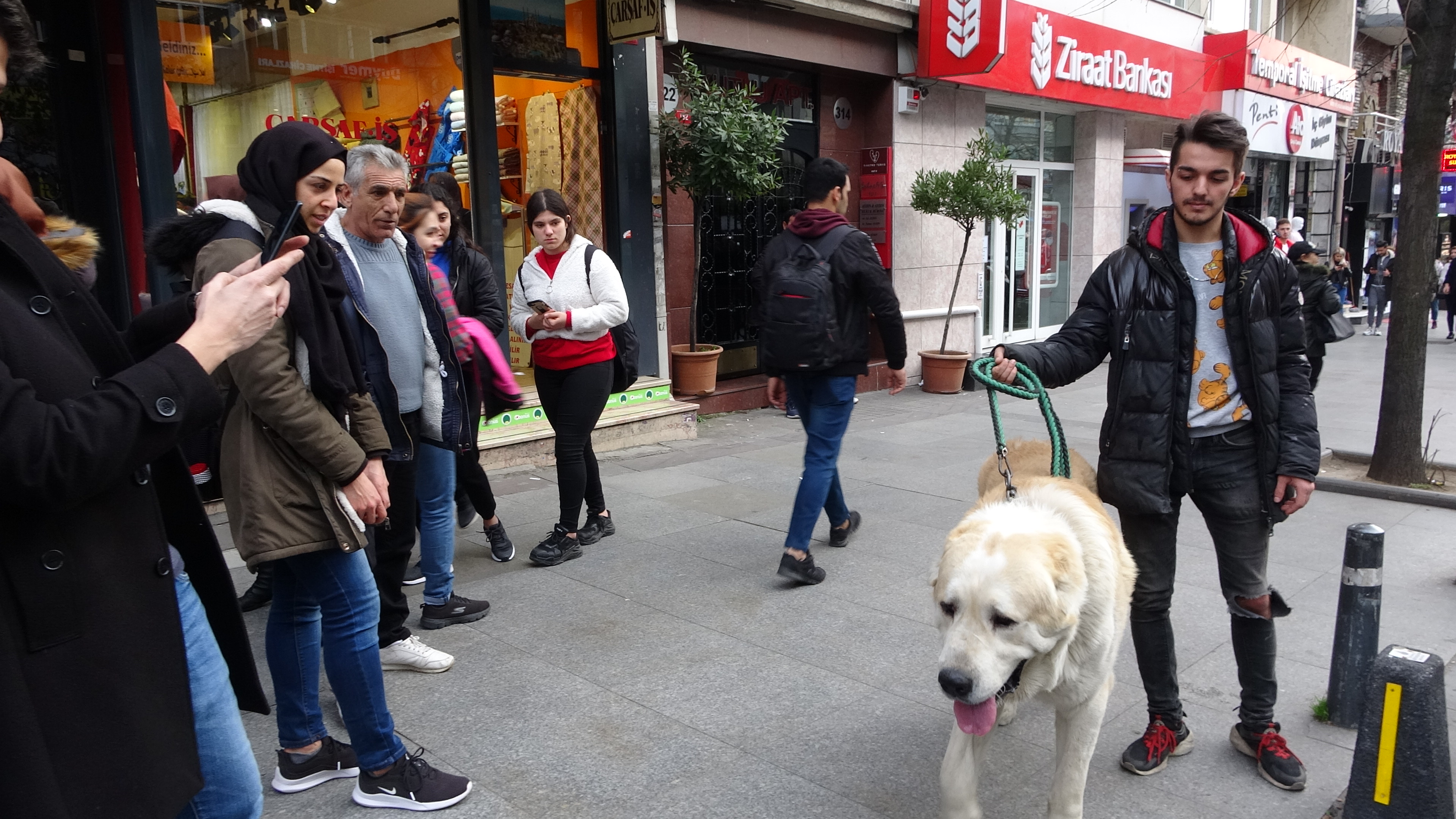 Türkiye’de daha büyüğü yok! Onu görenler şaşkınlıklarını gizleyemedi