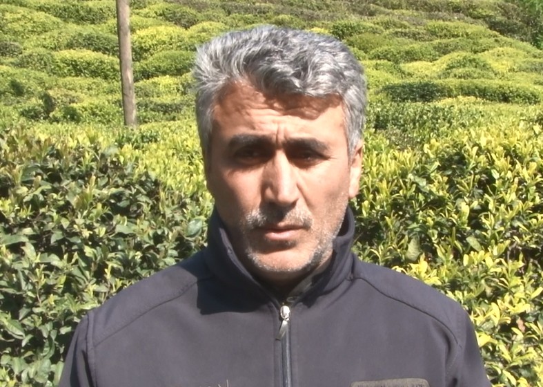 Rize'de çay üreticisi yaklaşan çay hasadı öncesi ne yapacağını şaşırdı