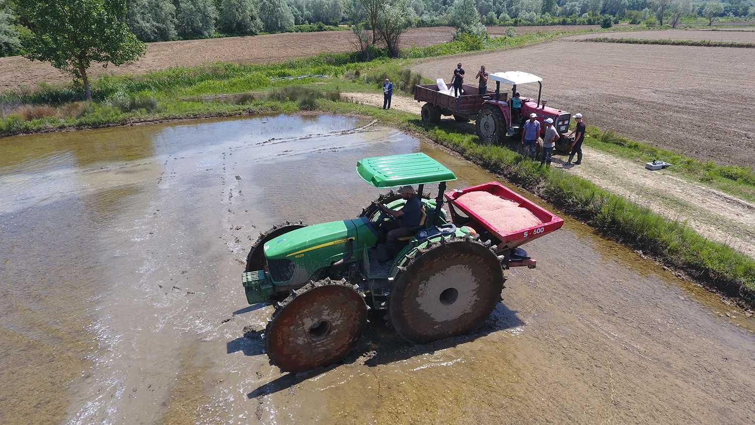 Türkiye'nin en kuzeyi Sinop’ta çeltik ekimi başladı