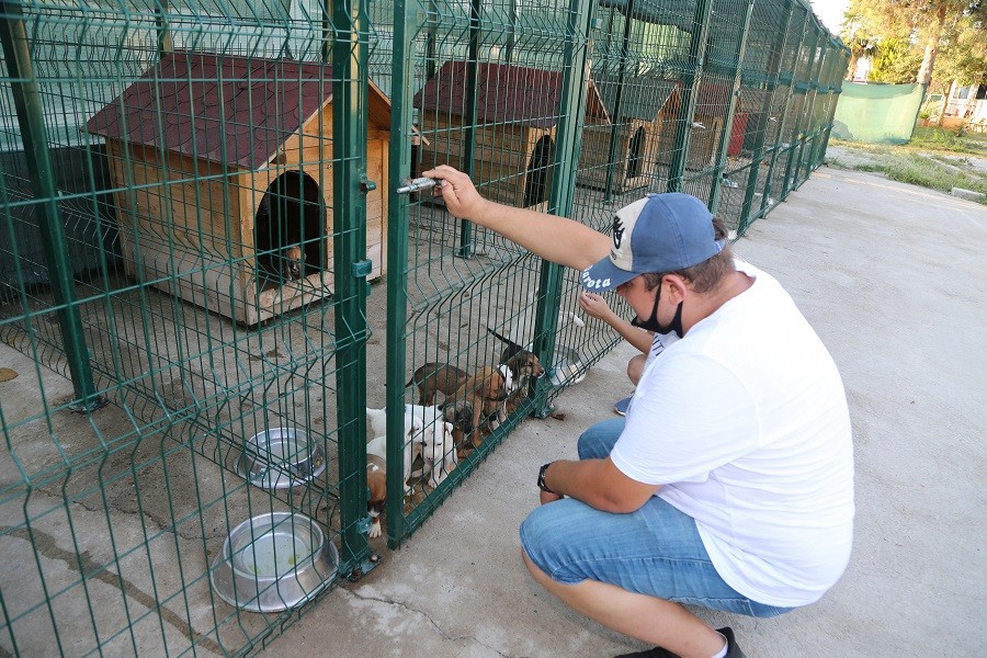 Kuzey Yıldızı oyuncuları can dostlarla