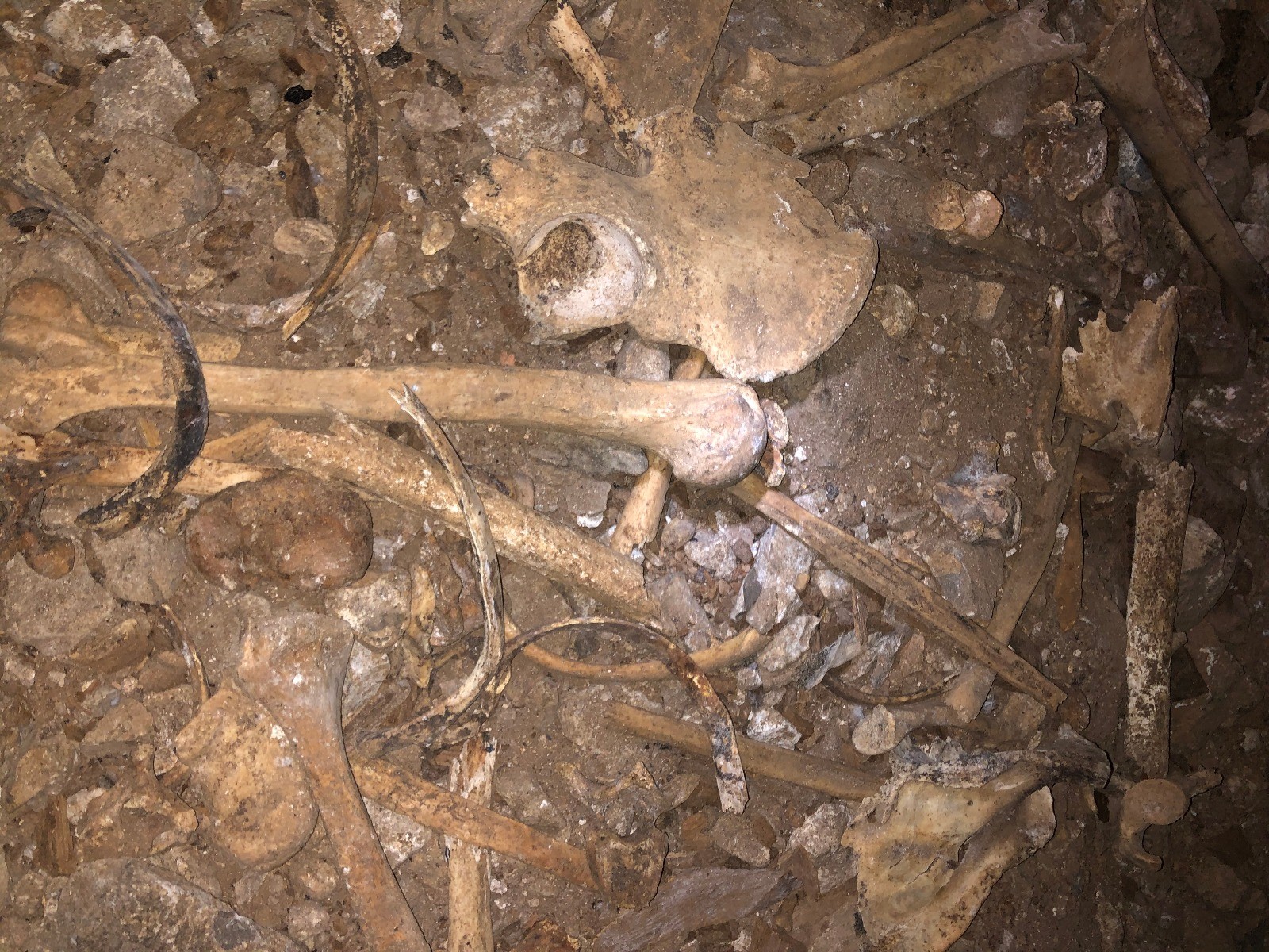 Dünyanın en derin dördüncü mağarasında adrenalin, korku, heyecan aynı anda yaşanıyor