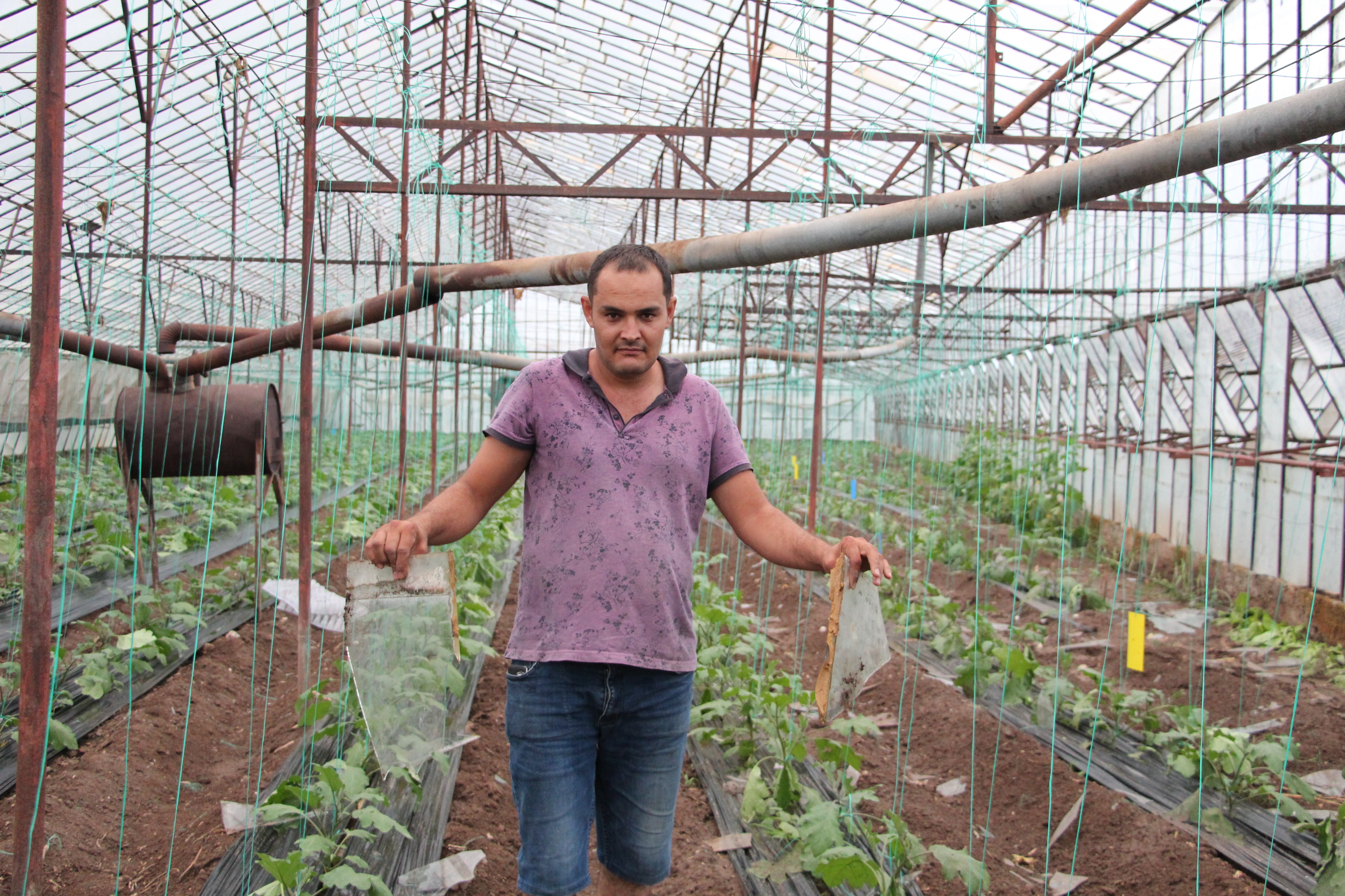 Antalya'da zarar gören seralar havadan görüntülendi