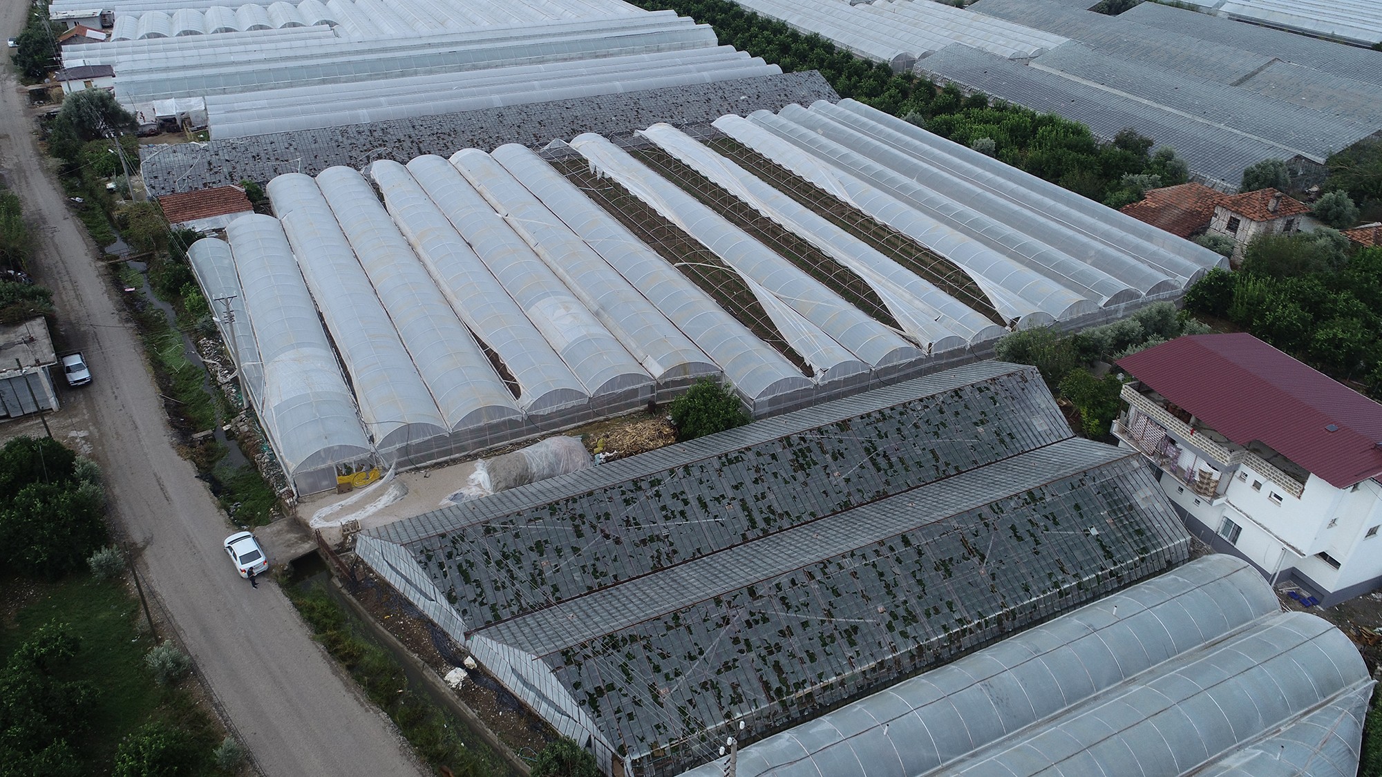 Antalya'da zarar gören seralar havadan görüntülendi