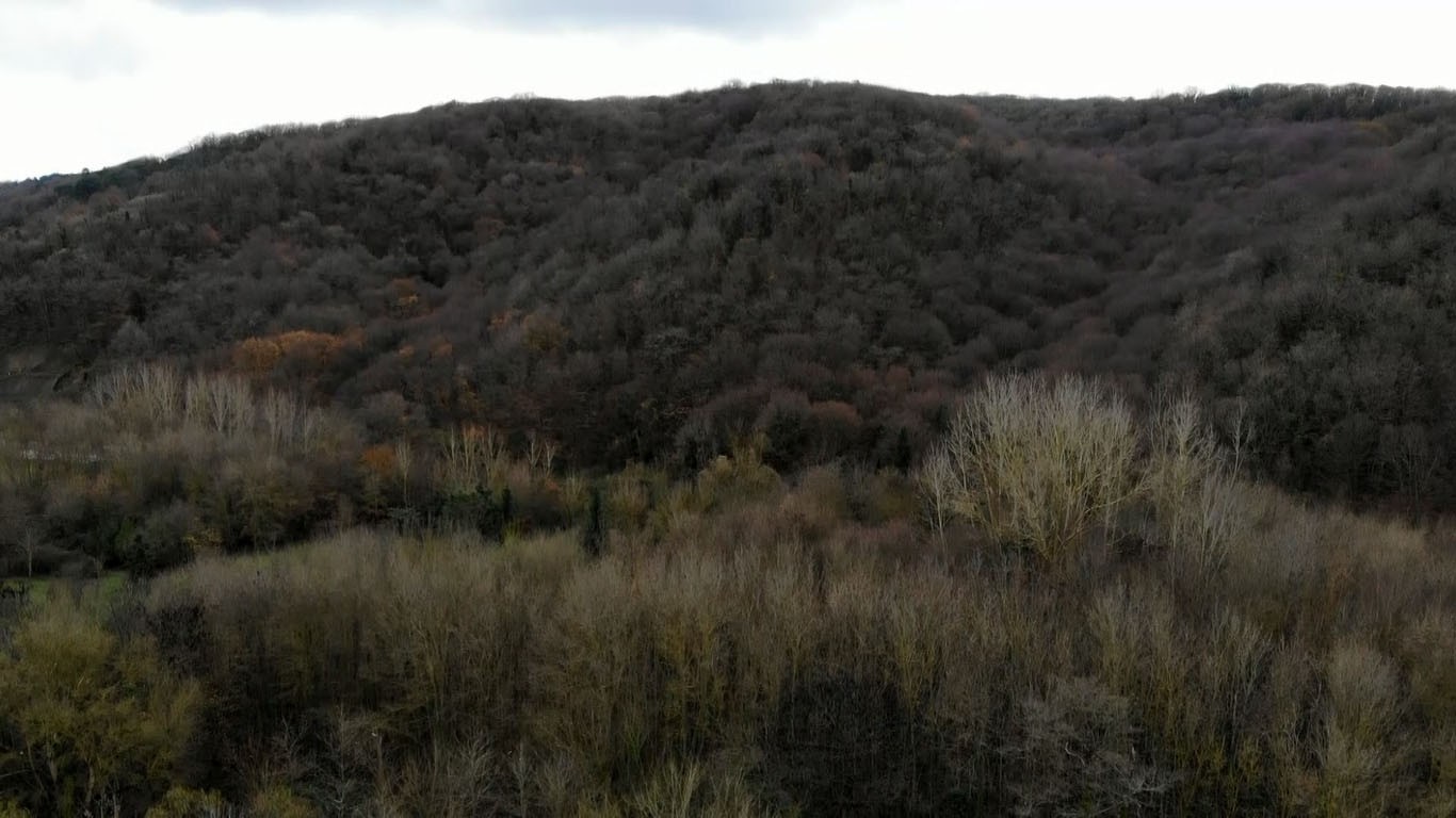 Belgrad Ormanı’nda renk cümbüşü