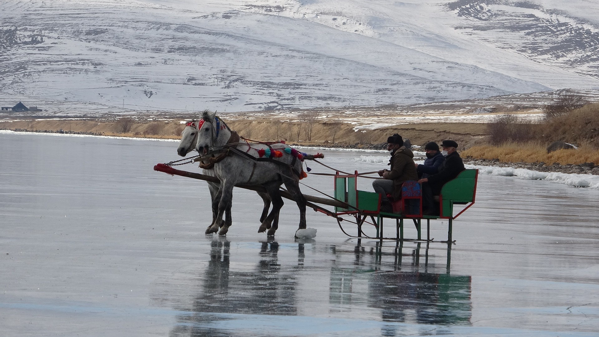 Çıldır Gölü'nde atlı kızak sezonu başladı
