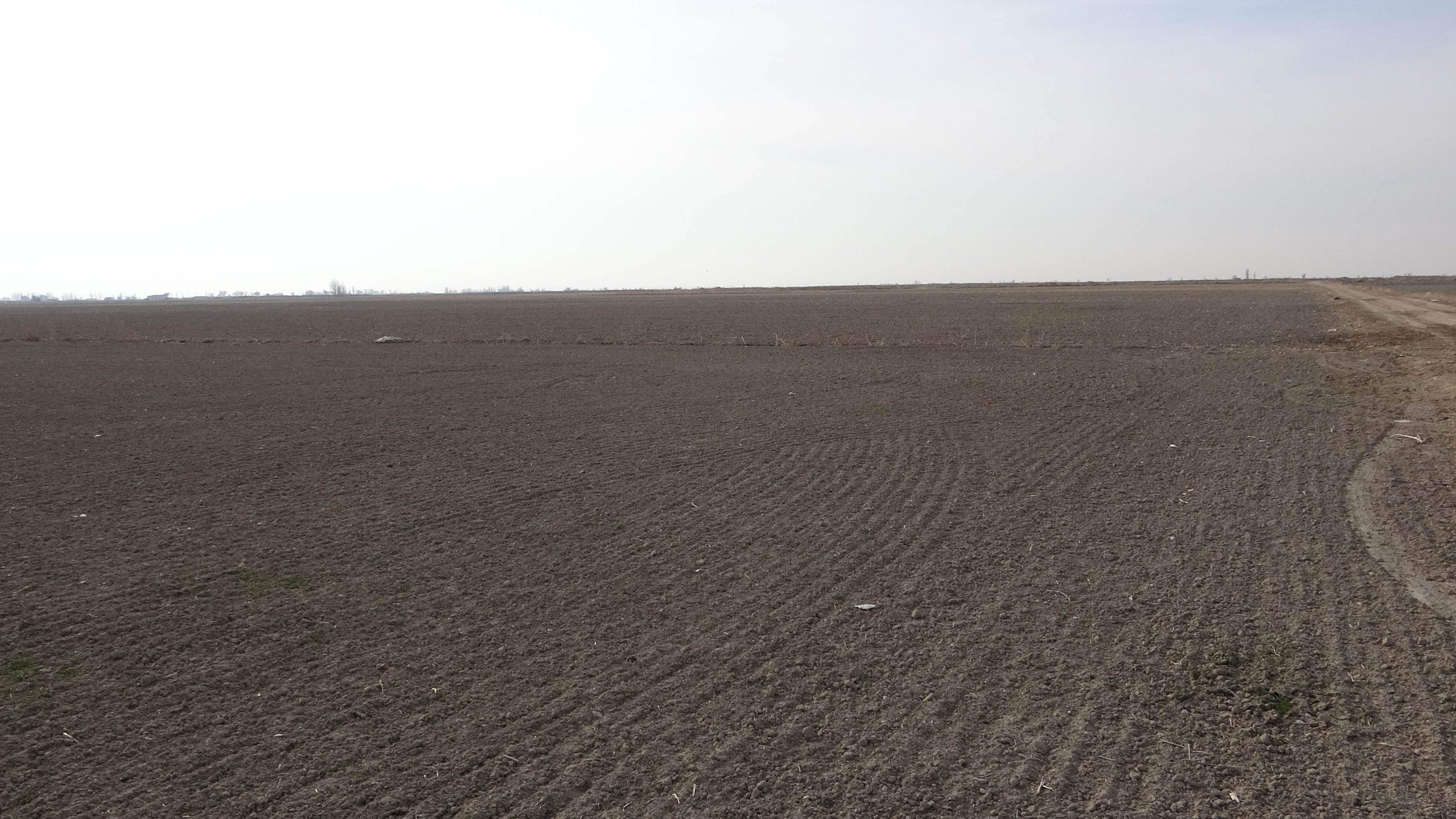 Konya Ovası suya hasret kaldı