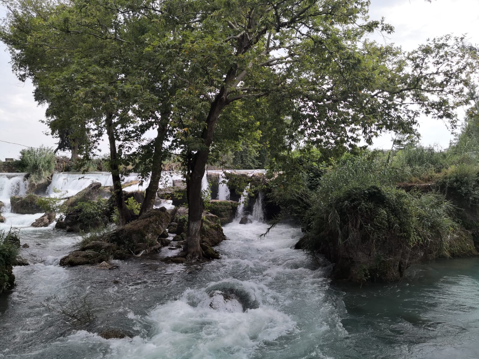 İnsanlık ölmemiş dedirtti, balıklar ölmesin diye hortumla su veriyor