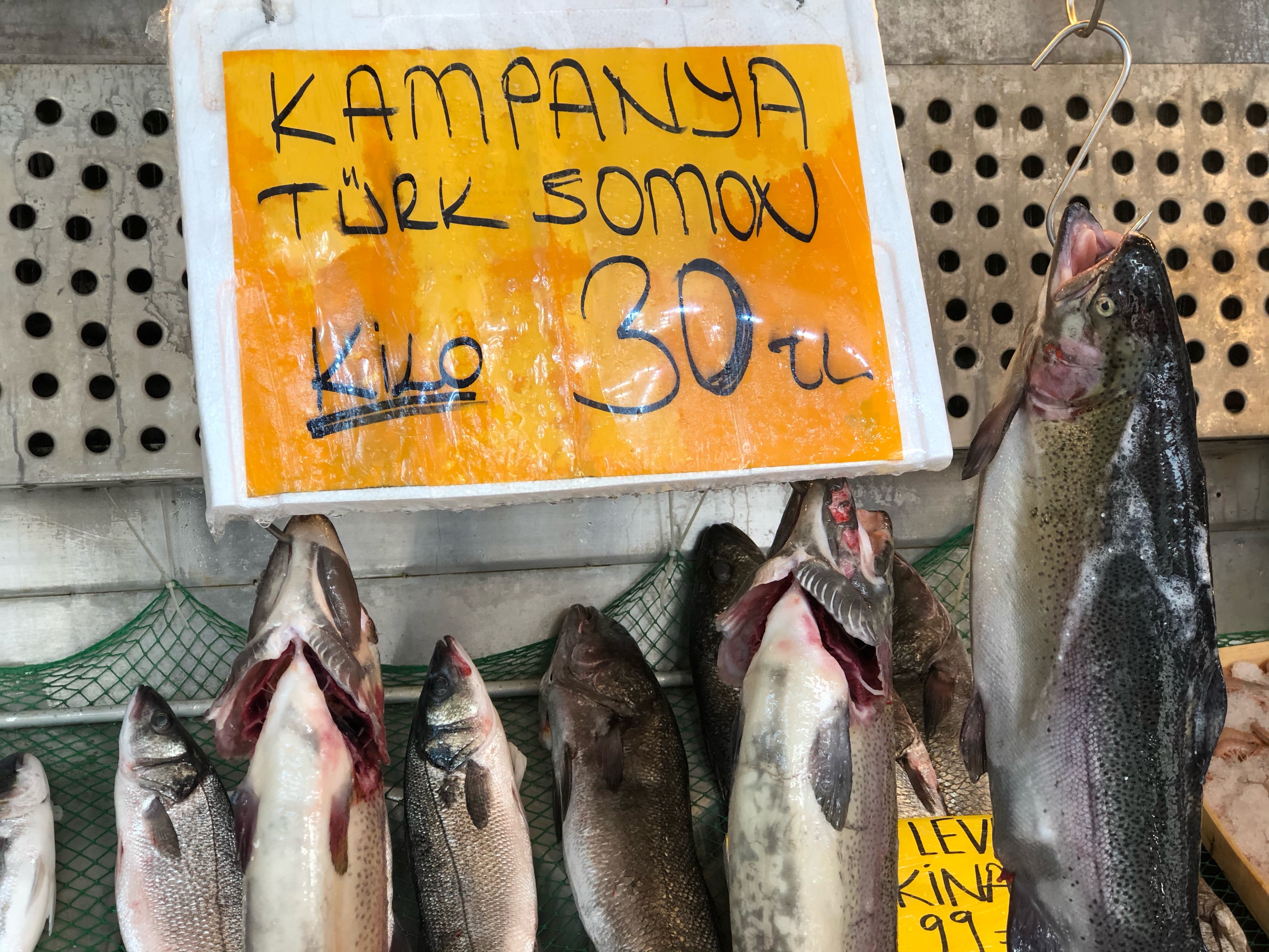 Norveç somonuna rakip Türk somonun kilosu 30 lira