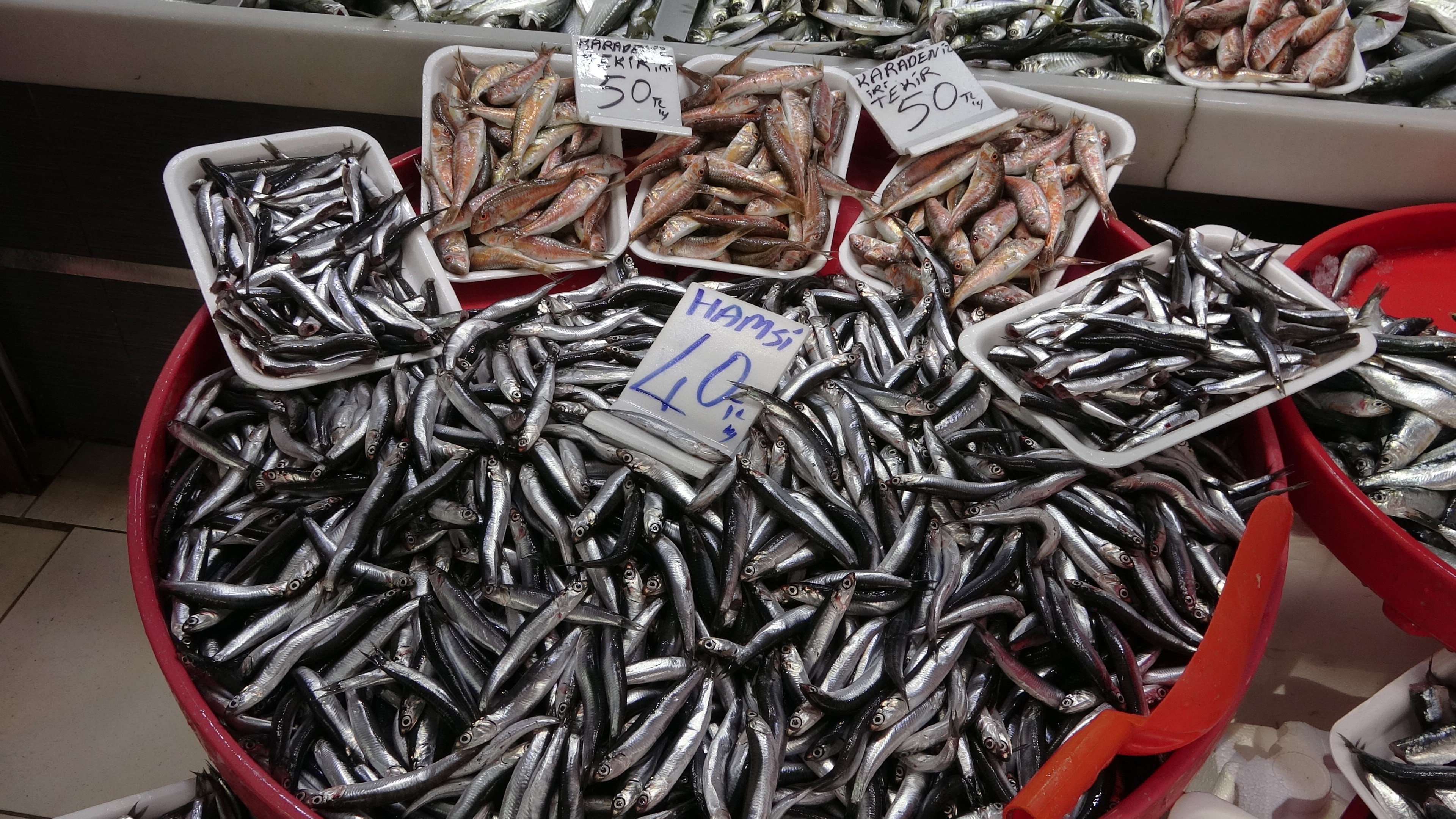 Çanakkale’de balık fiyatları el yakıyor