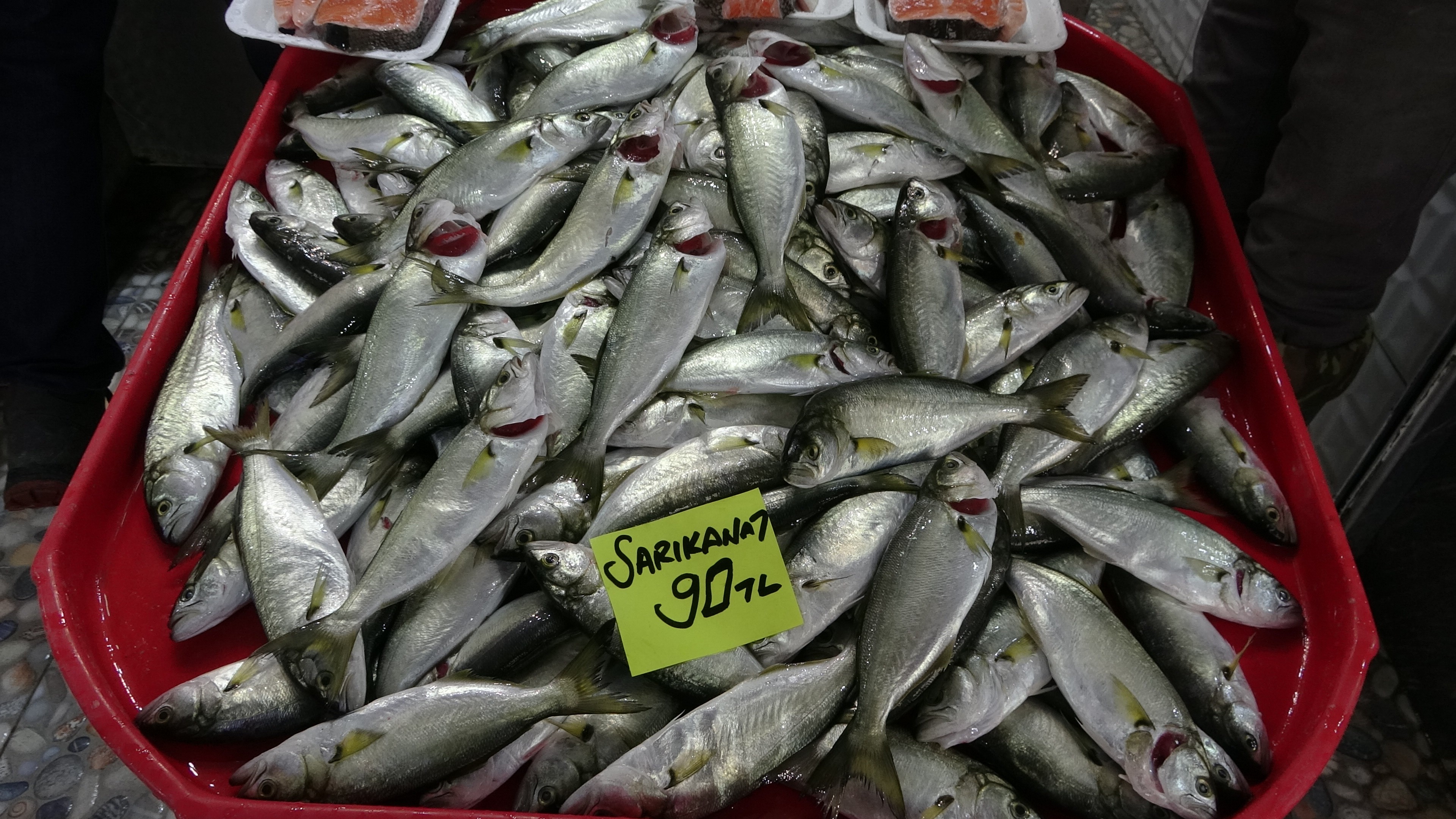 Çanakkale’de balık fiyatları el yakıyor