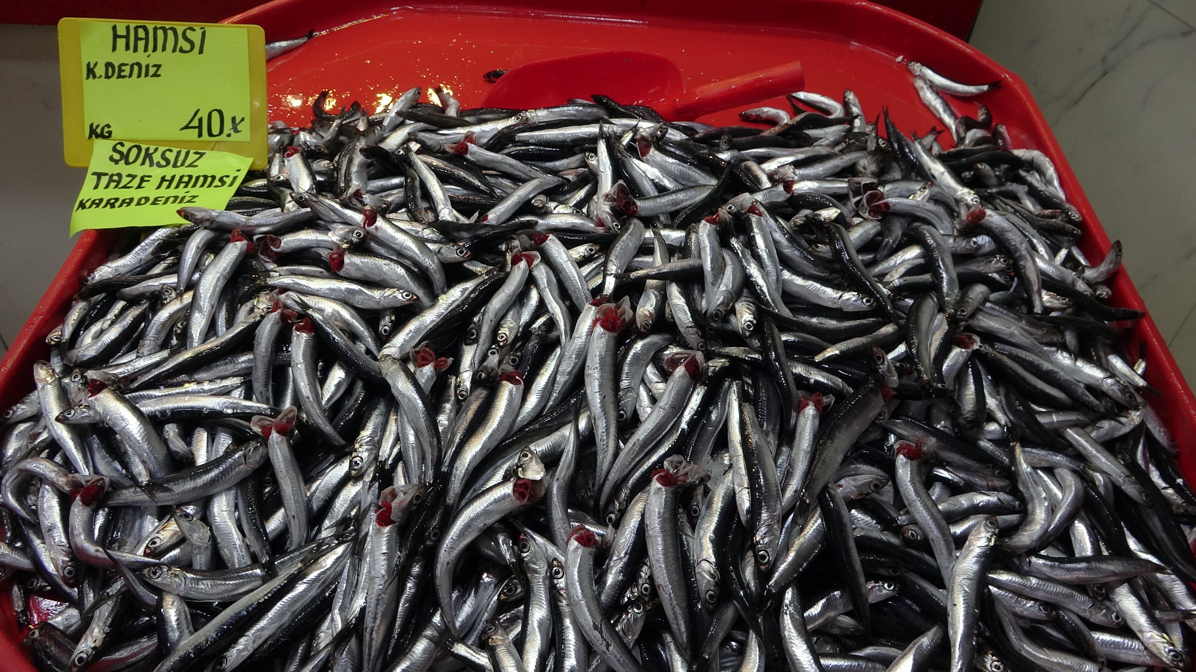 Çanakkale’de balık fiyatları el yakıyor