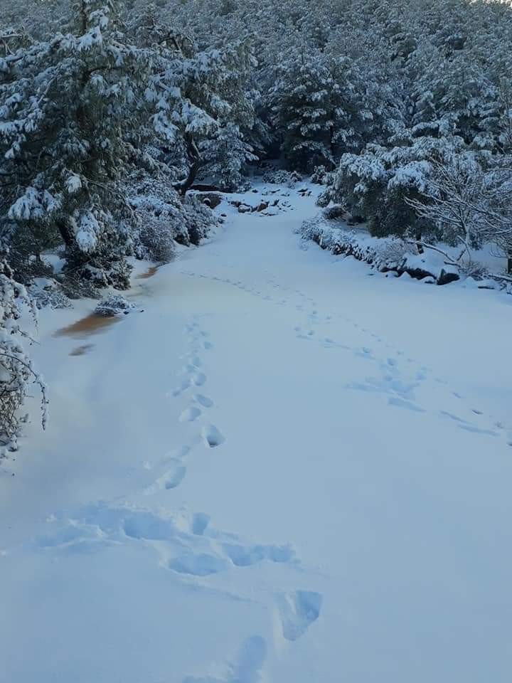 Bodrum’a yıllar sonra kar yağdı