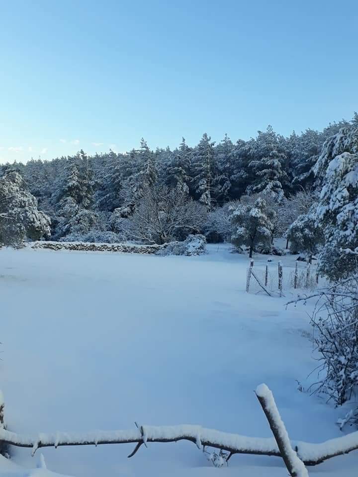 Bodrum’a yıllar sonra kar yağdı