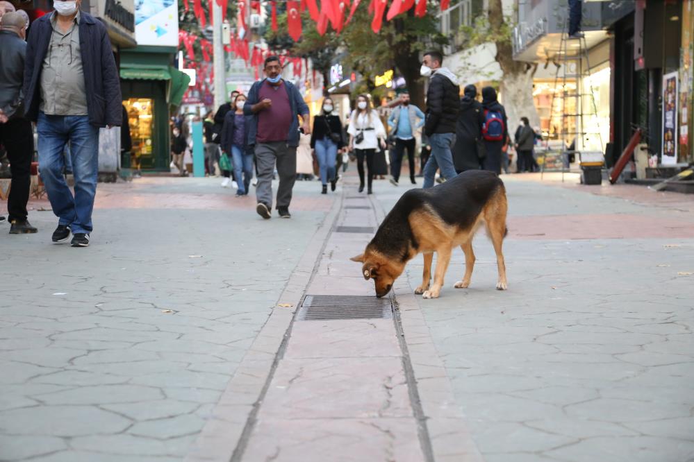 Mazgal nöbetine ara verince esnaf meraklandı