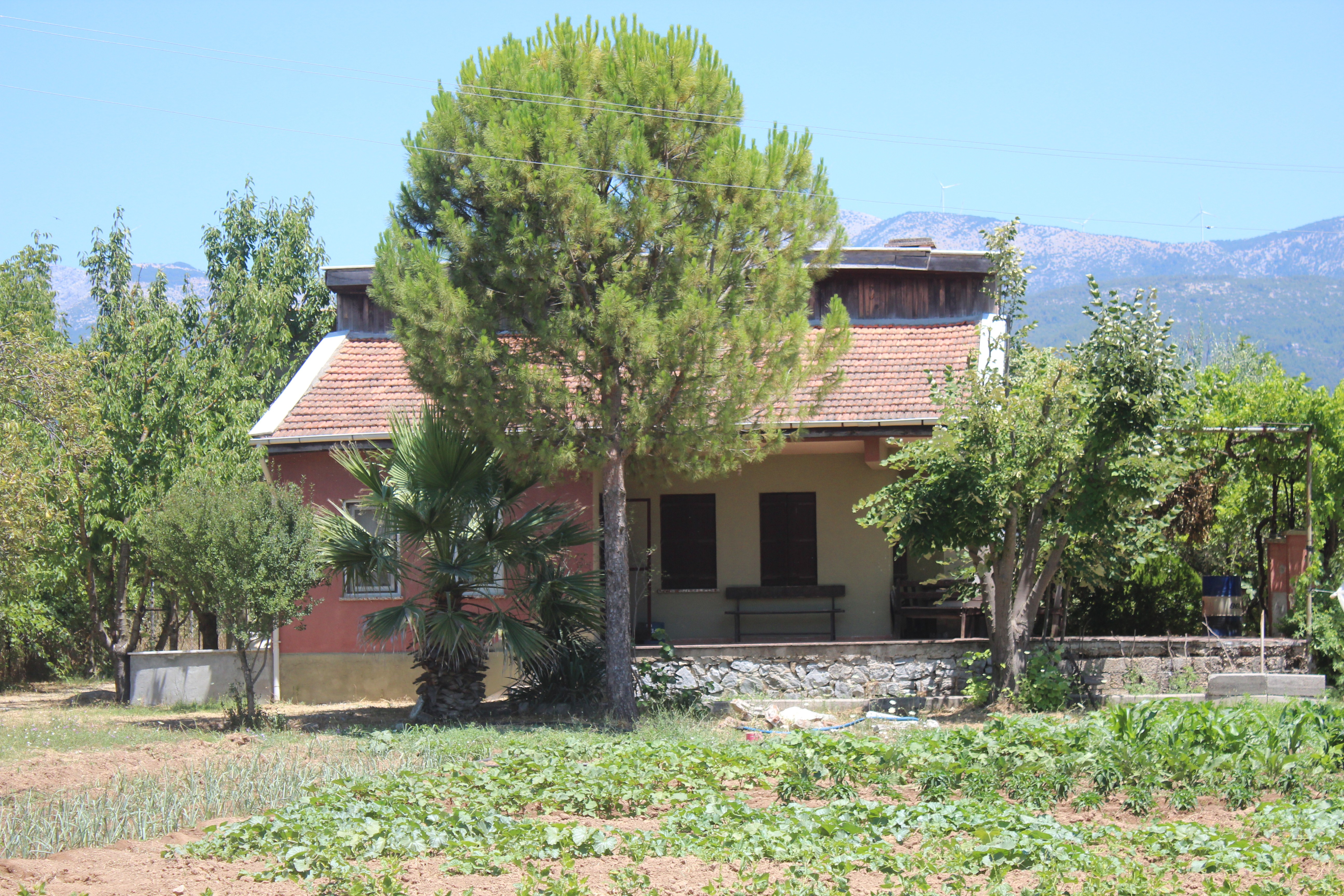 Cemal Metin Avcı'nın eşinden şok açıklamalar