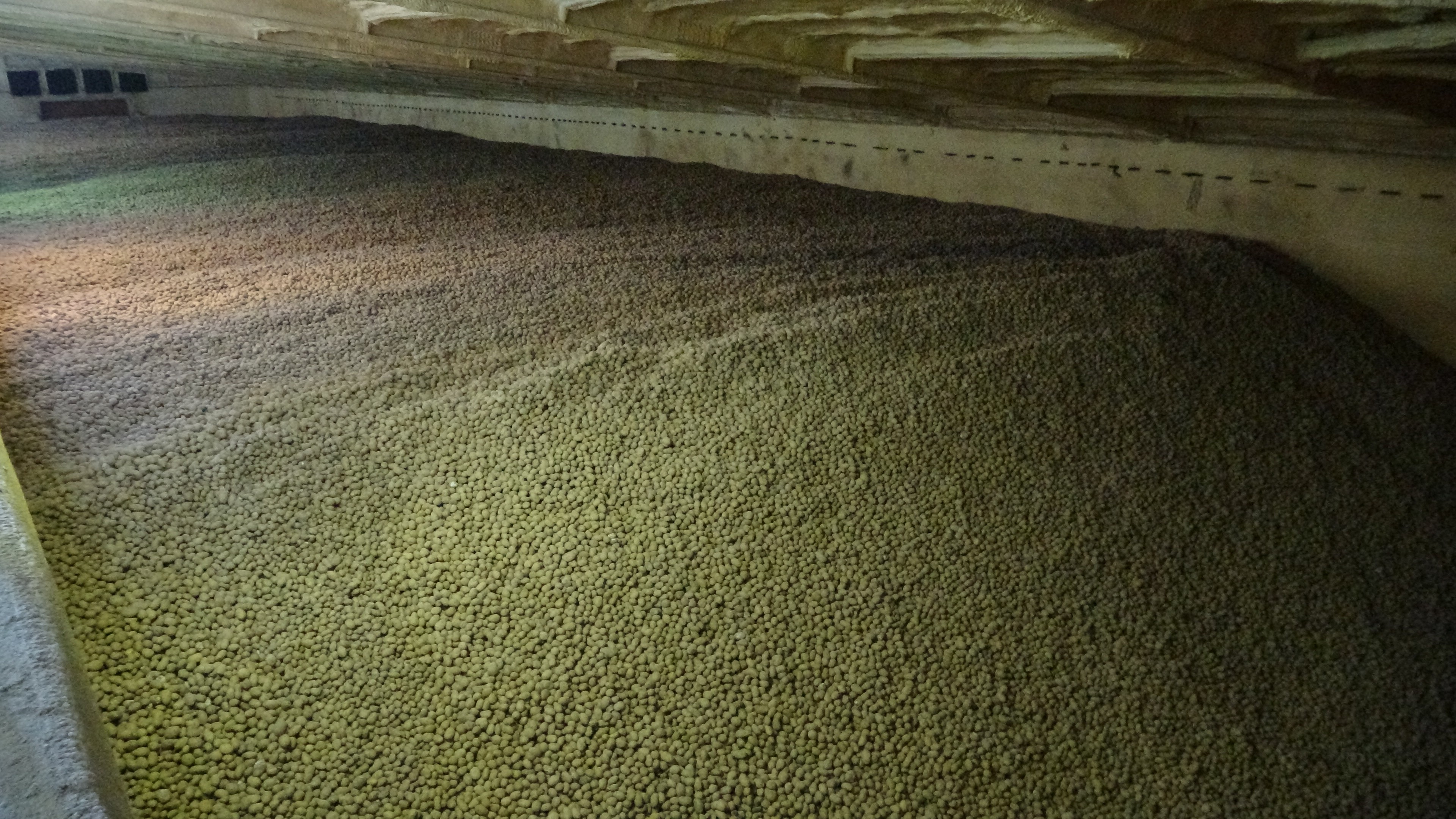 Türkiye’nin ilk ve tek nişasta tesisi Konya'da üretimini sürdürüyor