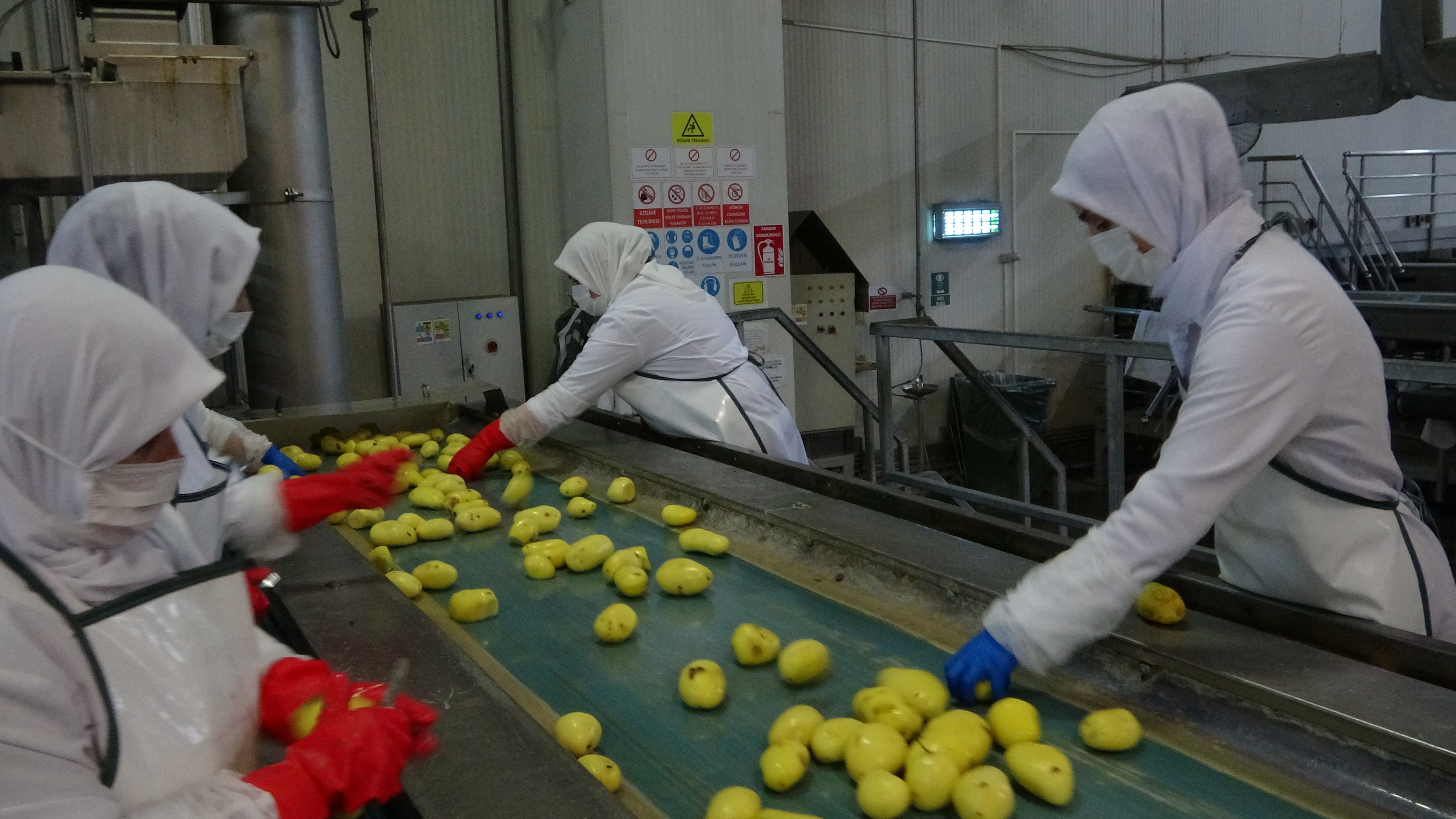 Türkiye’nin ilk ve tek nişasta tesisi Konya'da üretimini sürdürüyor