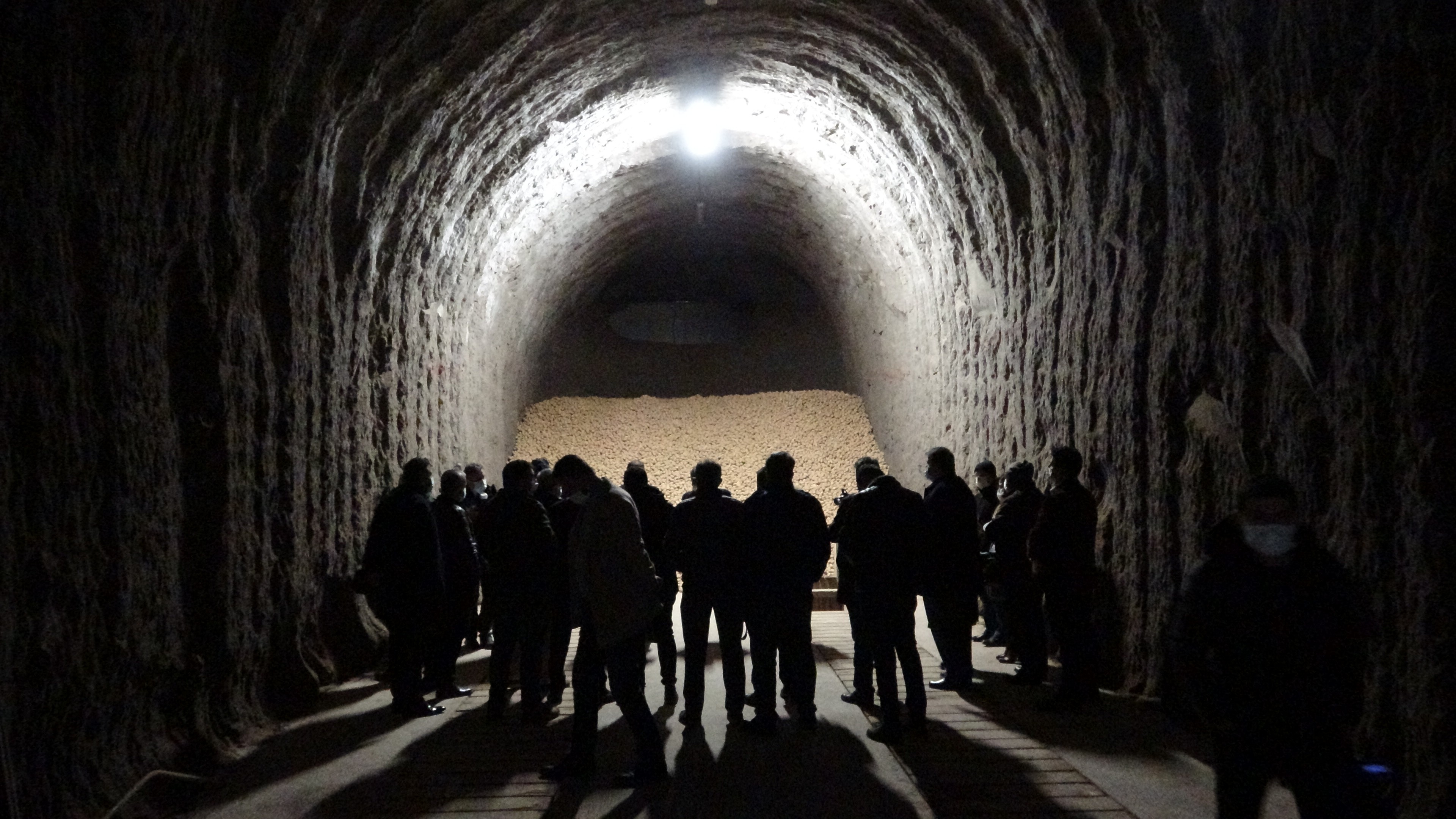 Türkiye’nin ilk ve tek nişasta tesisi Konya'da üretimini sürdürüyor