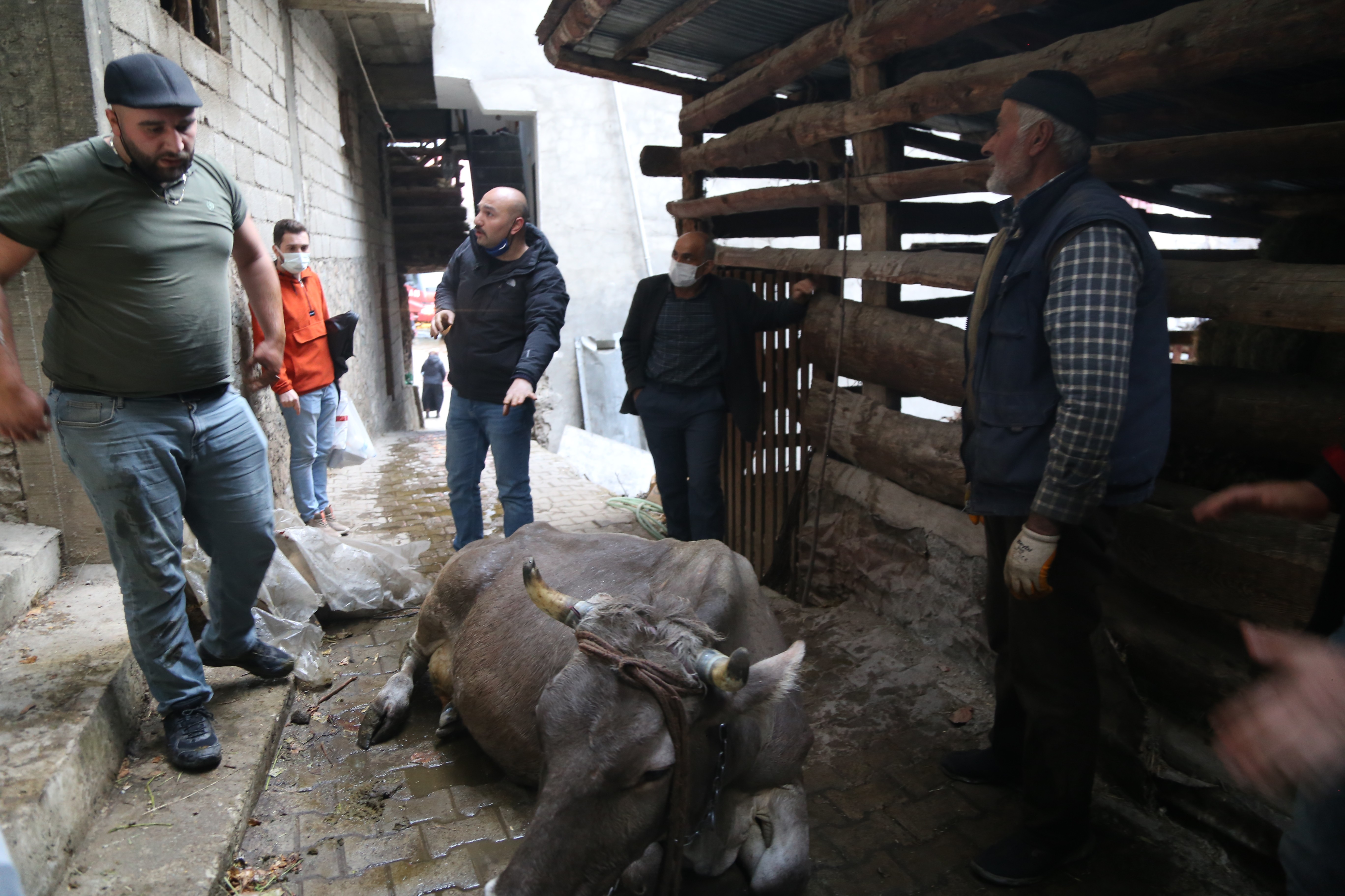 Artvin'in Yusufeli ilçesi Dereiçi köyünde son 24 yılda 3 büyük yangın acısı yaşadı
