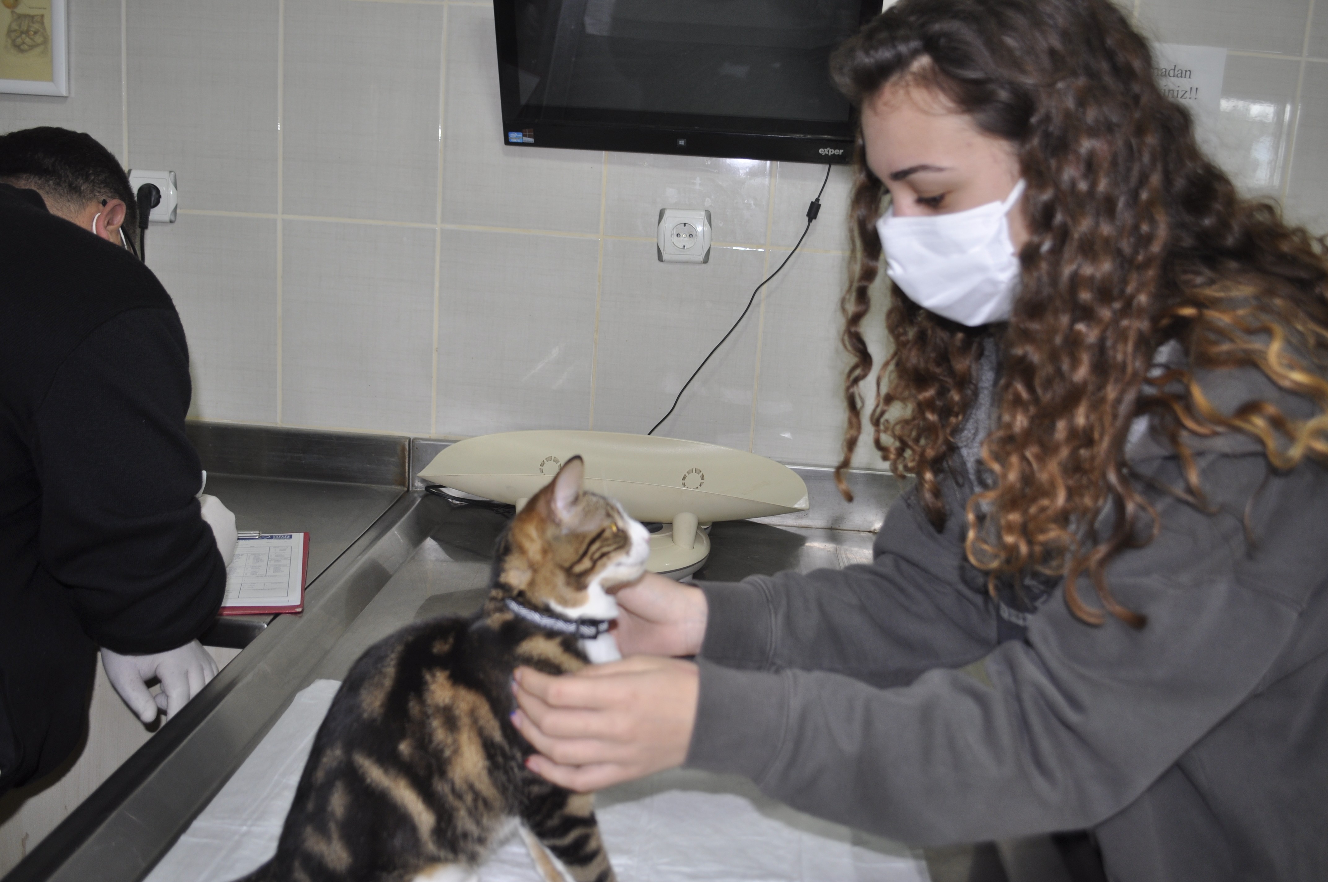 Bu da down sendromlu sevimli kedi