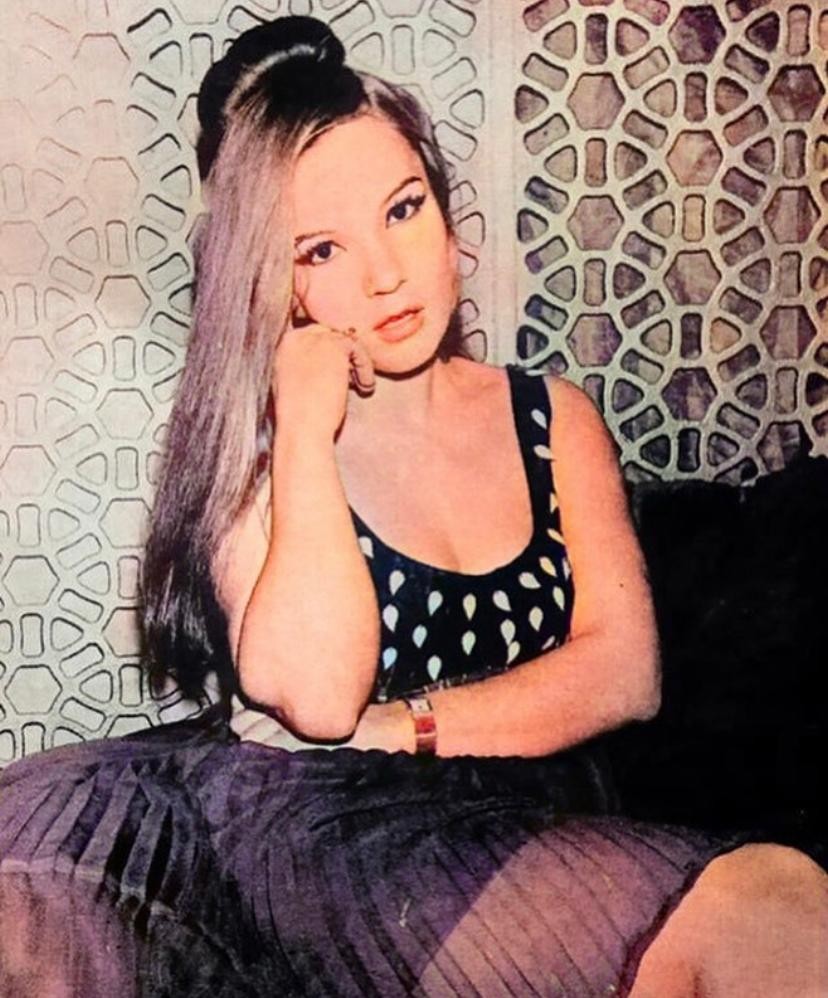 Yeşilçam oyuncusu Nilüfer Aydan’a ‘Cumhurbaşkanına hakaret'ten hapis cezası