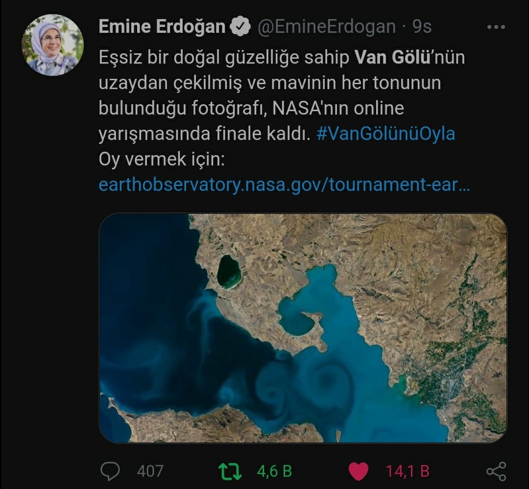 Van Gölü’ne oy yağmuru: NASA’nın sitesi çöktü