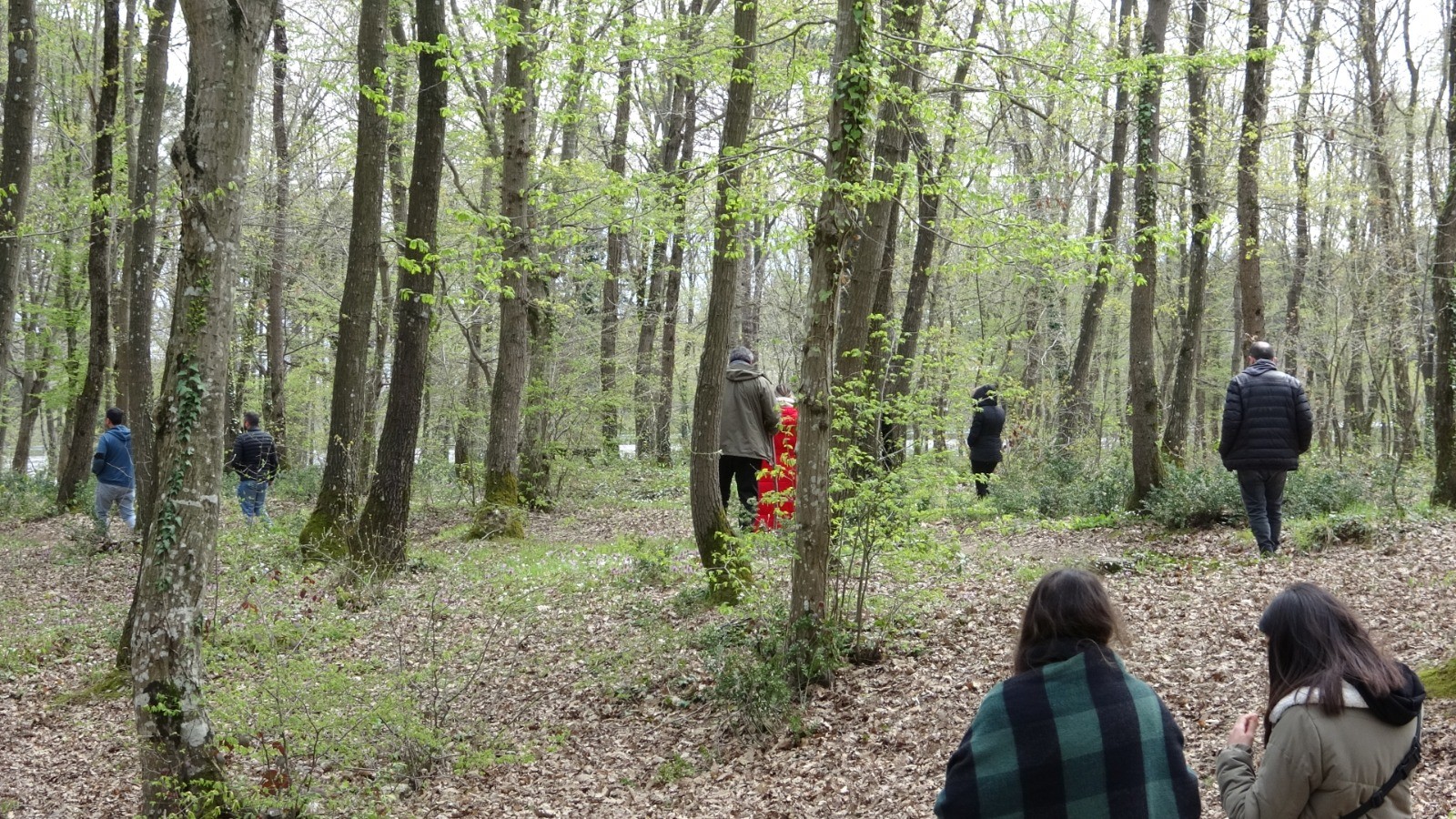Çekmeköy’de ormanlık alanda kaybolan şahsı arama çalışmaları sürüyor