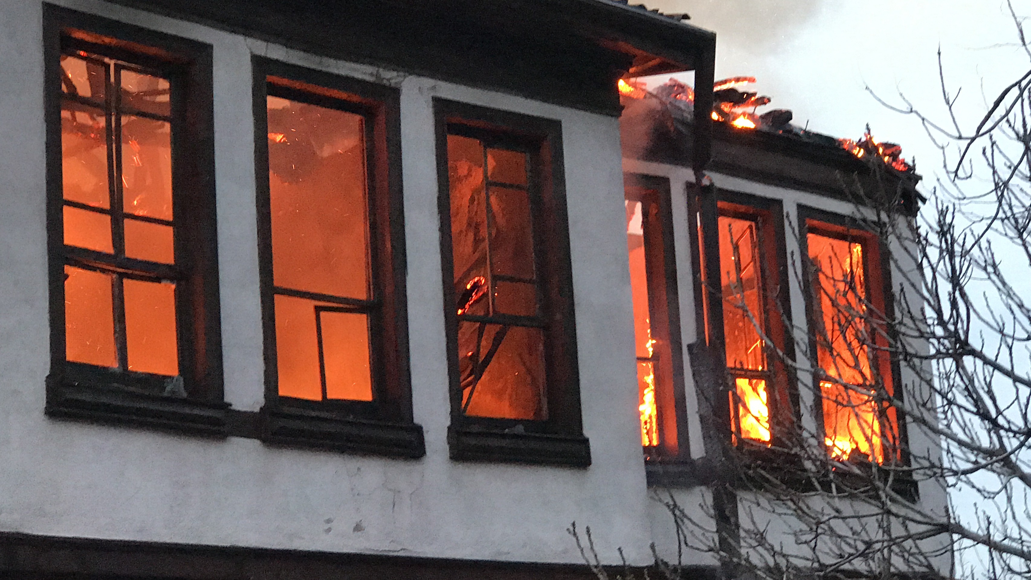 Bursa’da korkutan yangın: 1 kişi dumandan etkilendi, onlarca kedi kurtarıldı