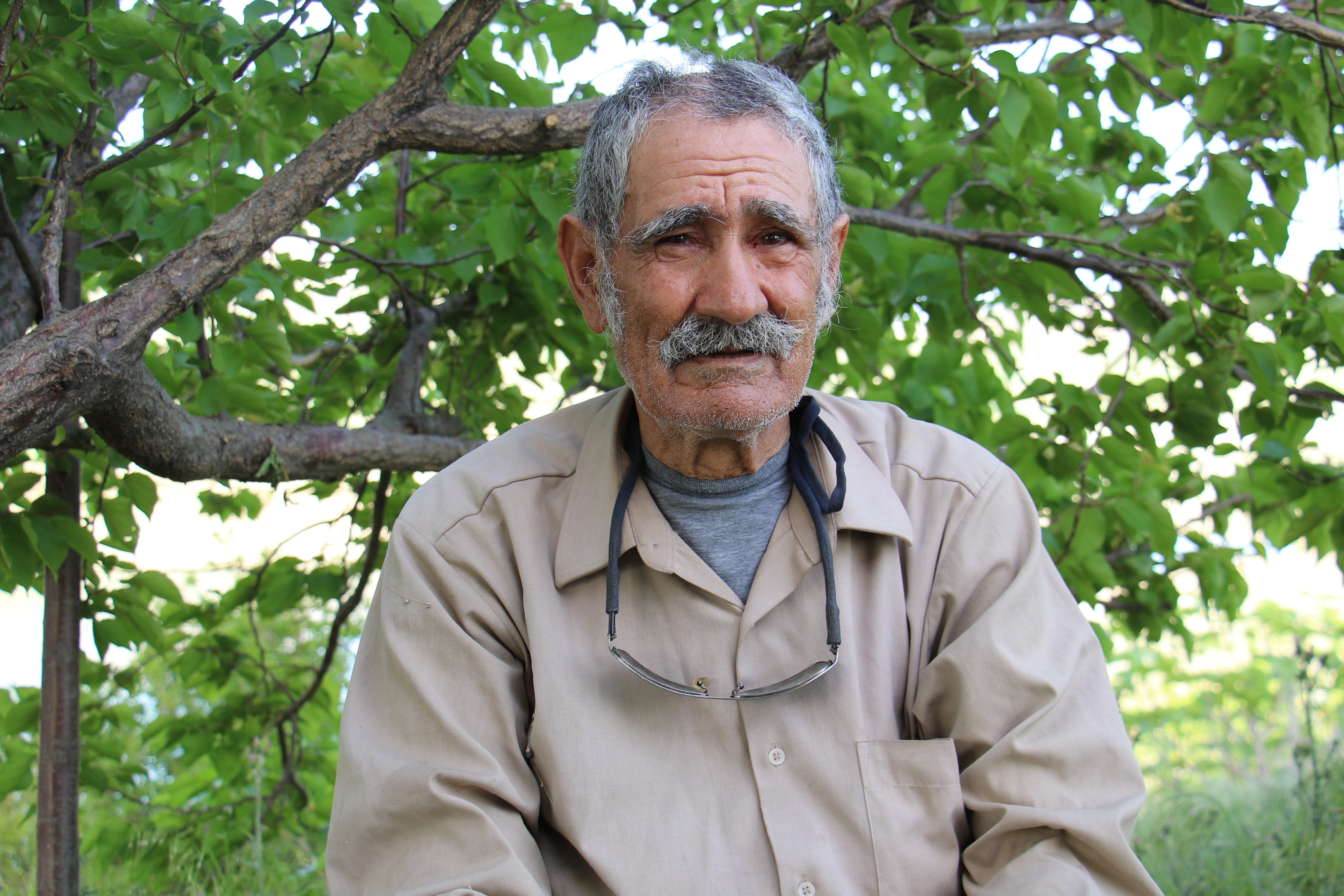 Robinson Ziya dedenin adası baharla birlikte yeşile büründü