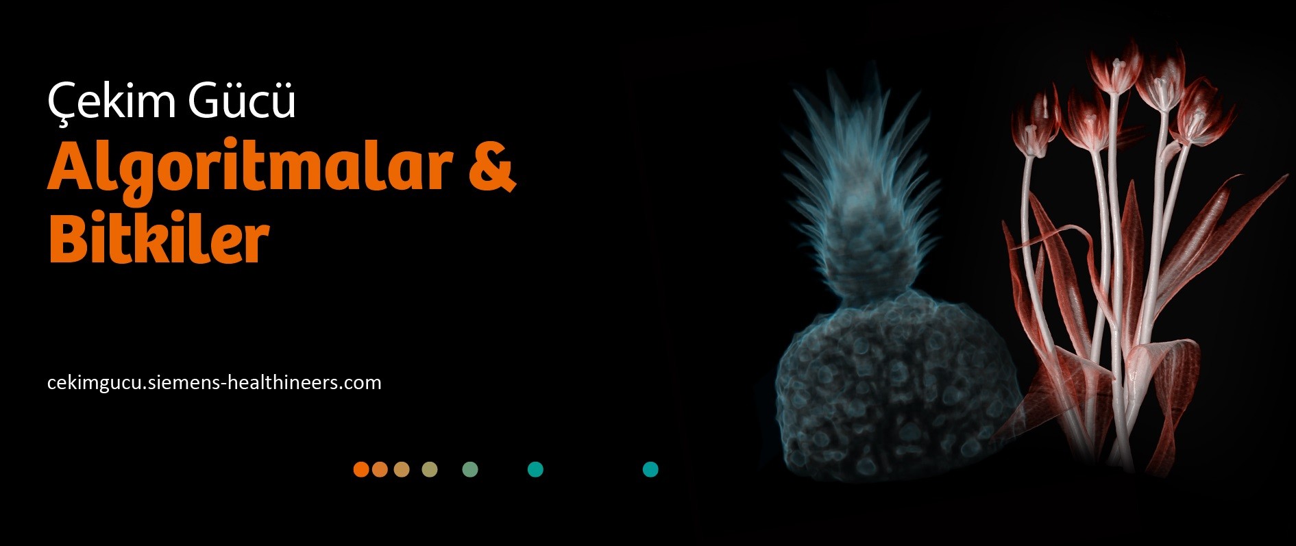 Algoritmalar ve Bitkiler sergisi çevrimiçi olarak erişime açıldı