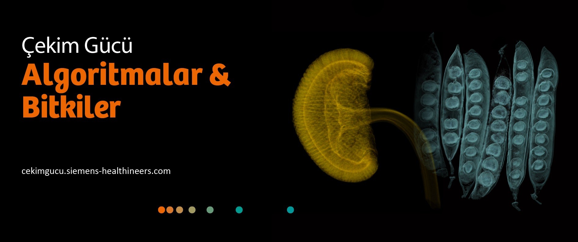 Algoritmalar ve Bitkiler sergisi çevrimiçi olarak erişime açıldı