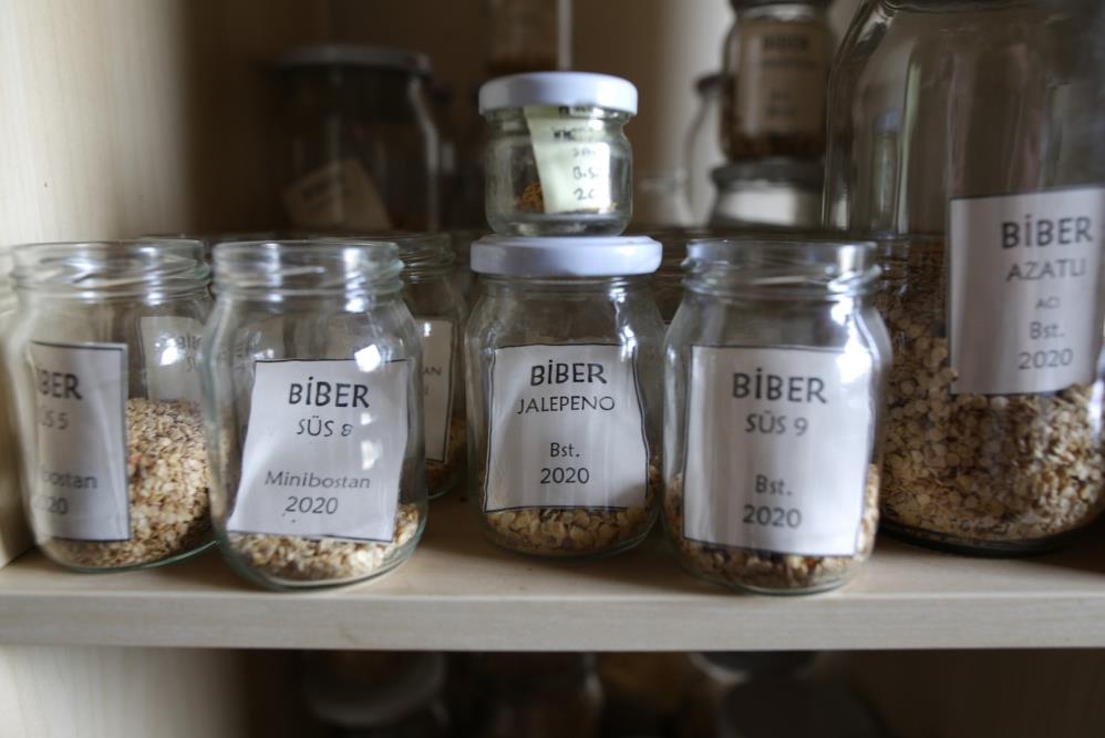 Bursa'da yerel tohum seferberliği!