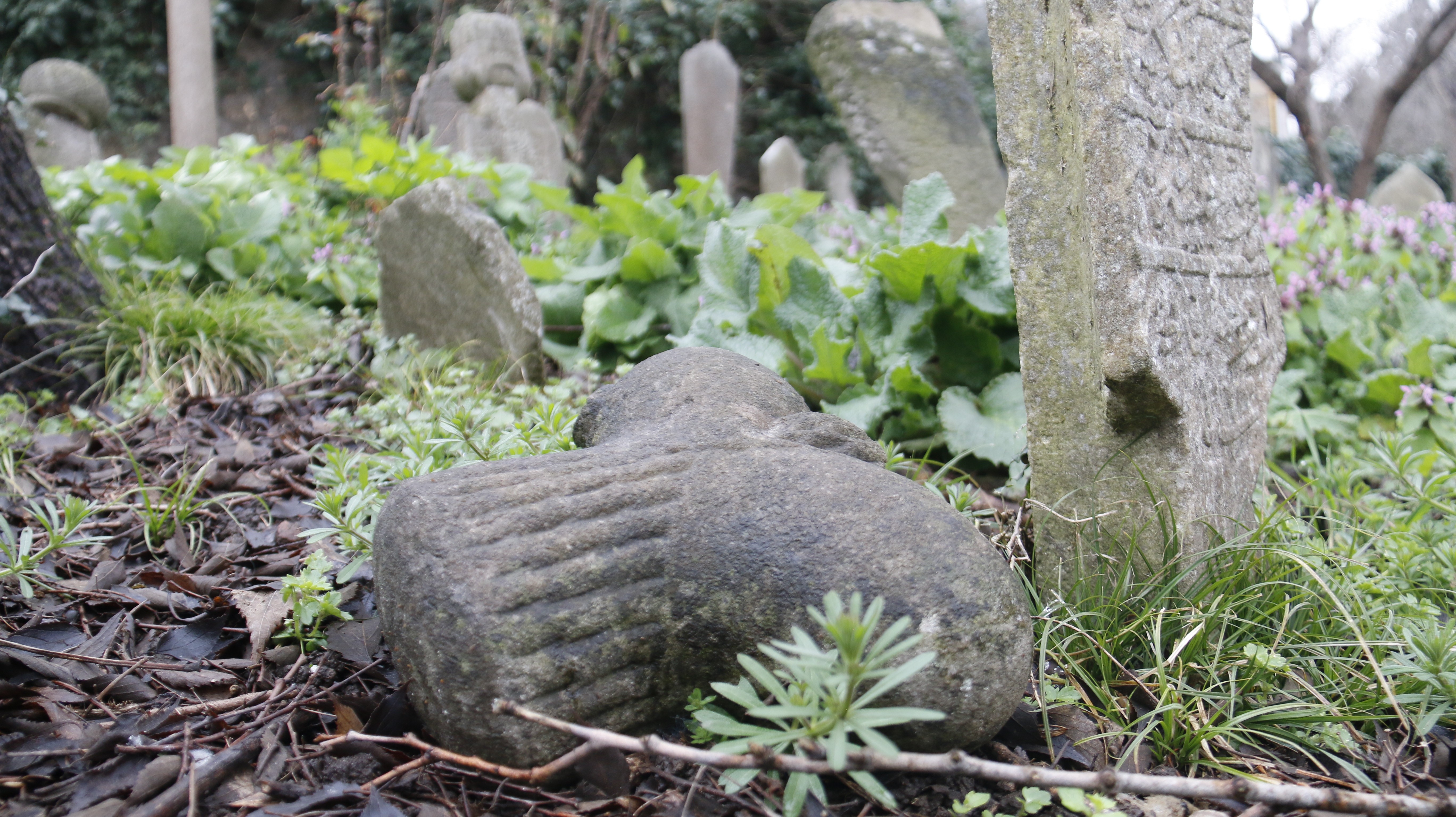 İstanbul’un İlk Müslüman Mezarları çalınıyor