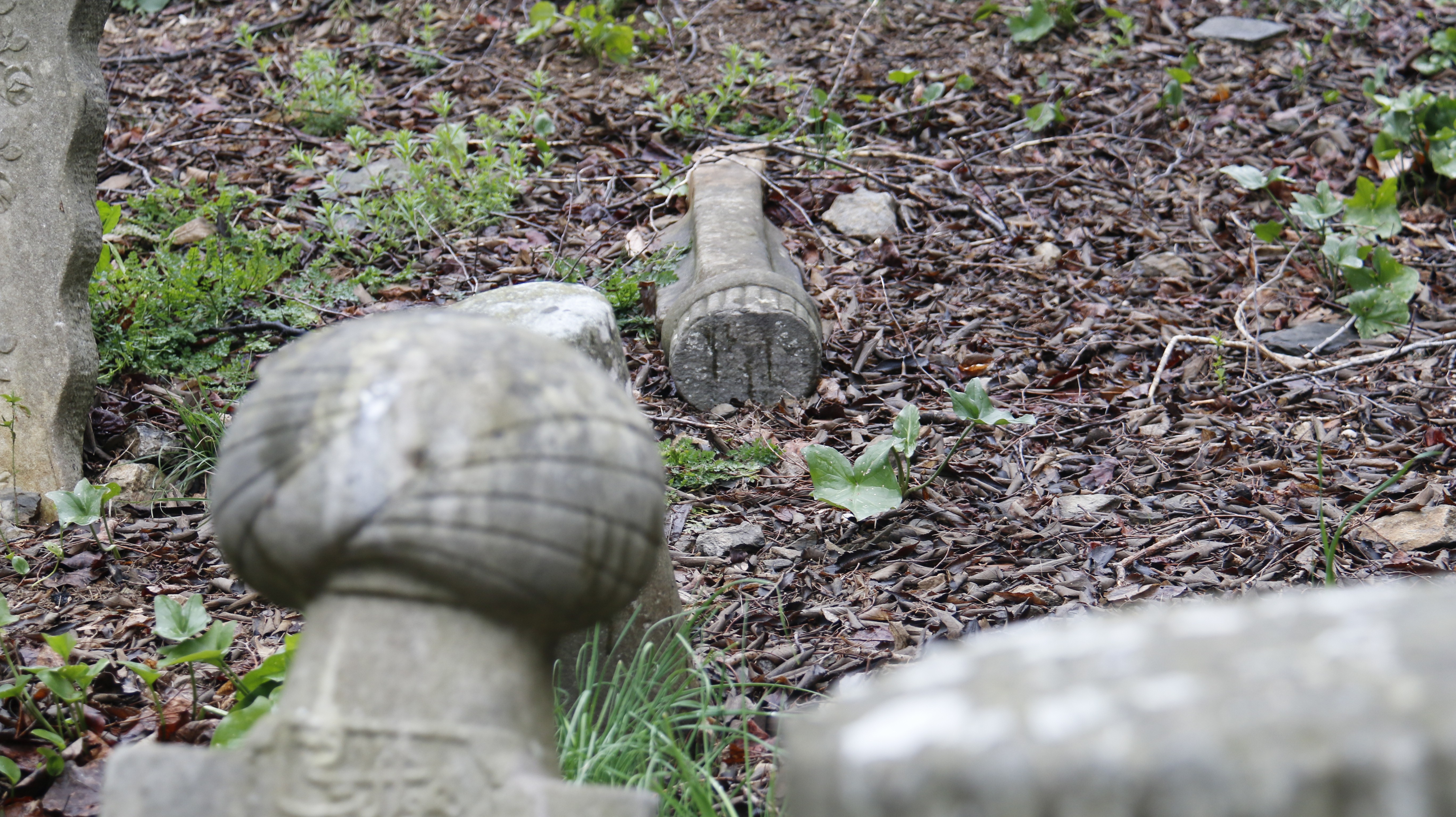 İstanbul’un İlk Müslüman Mezarları çalınıyor