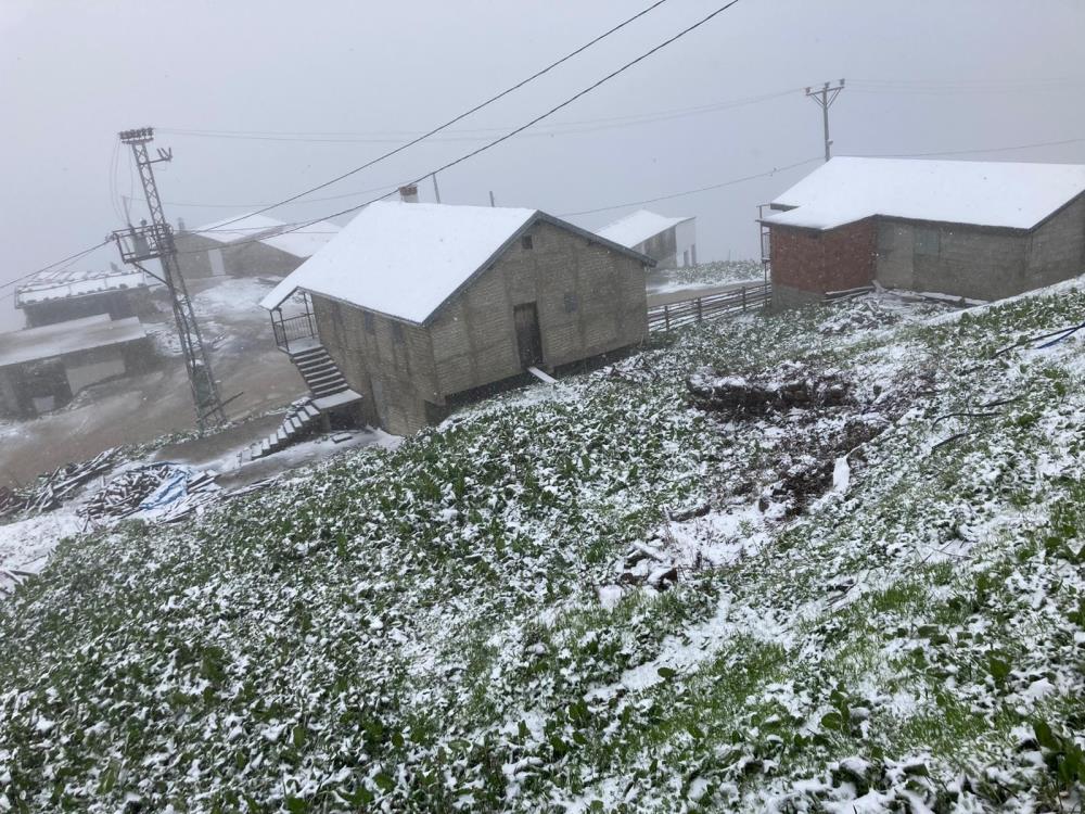 Mayıs ayında kar yağışı! Birçok il beyaza büründü