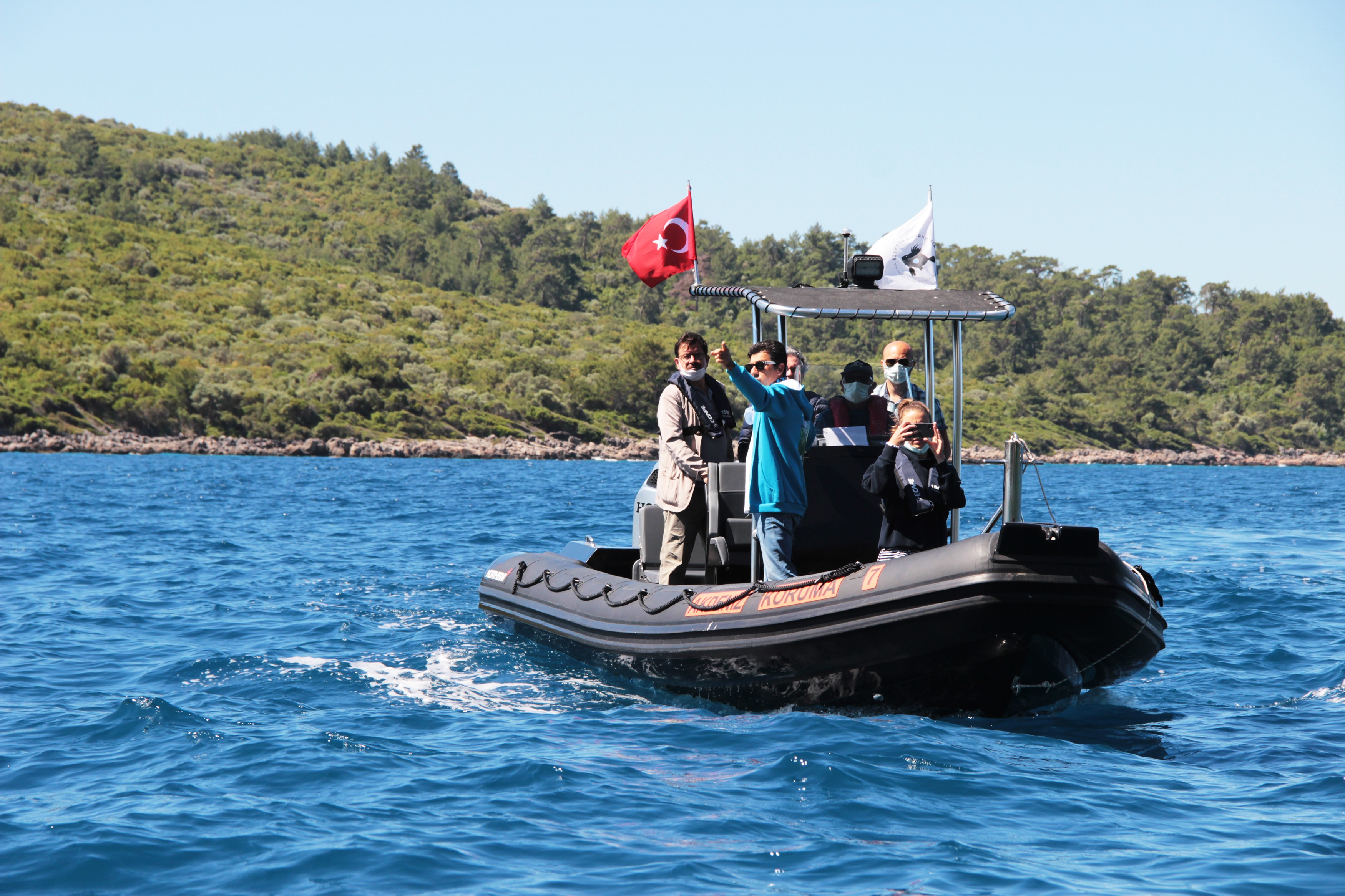 Kum köpek balıkları 24 saat izleniyor