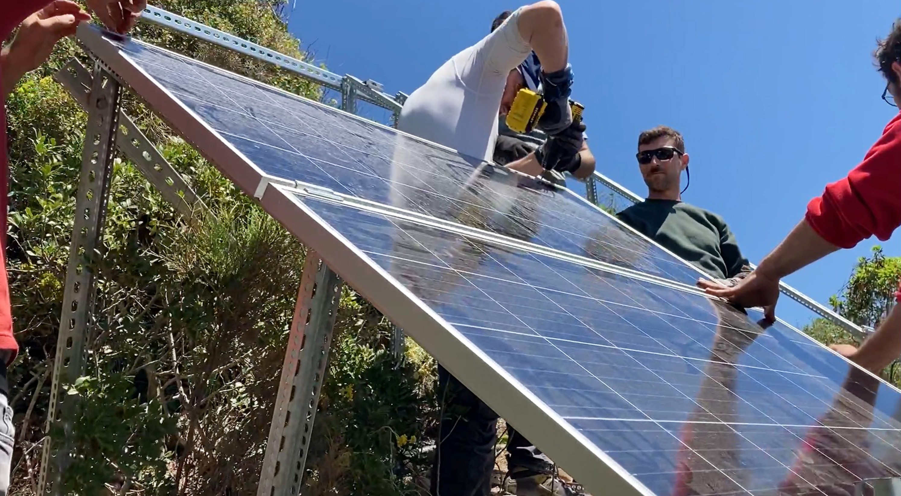 Kum köpek balıkları 24 saat izleniyor