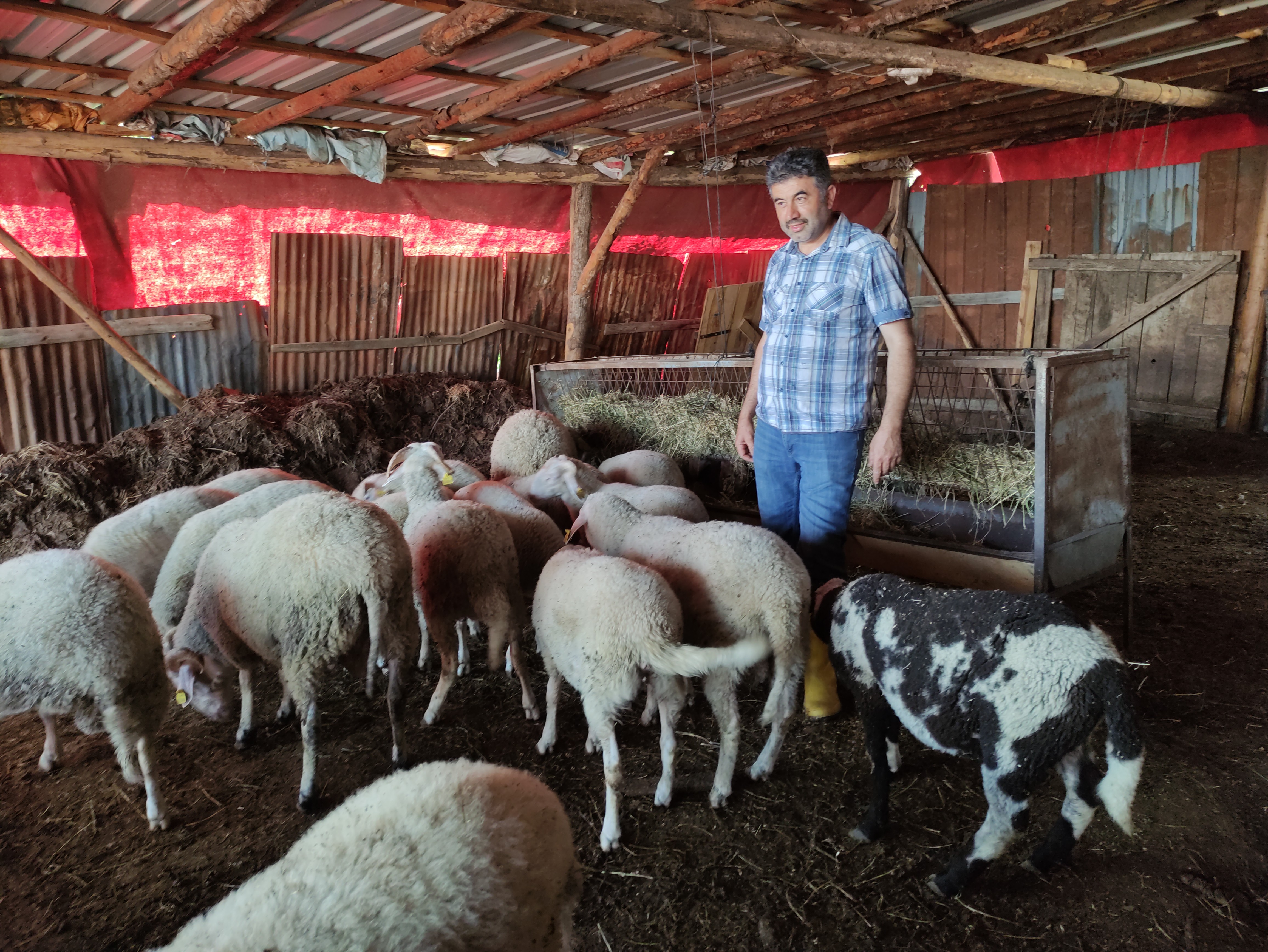 Çoban kardeşler koyunları için hurda malzemelerden hidroelektrik santrali yaptı