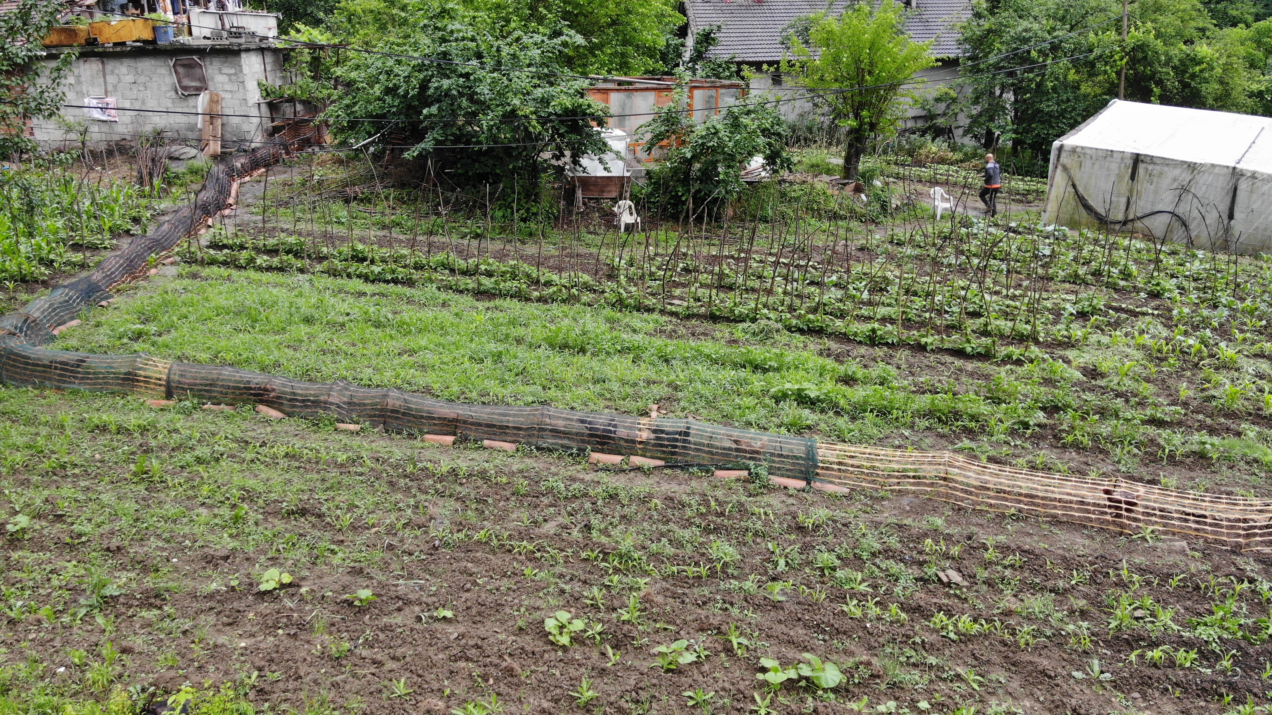 Tavuklara tünelle transit geçiş