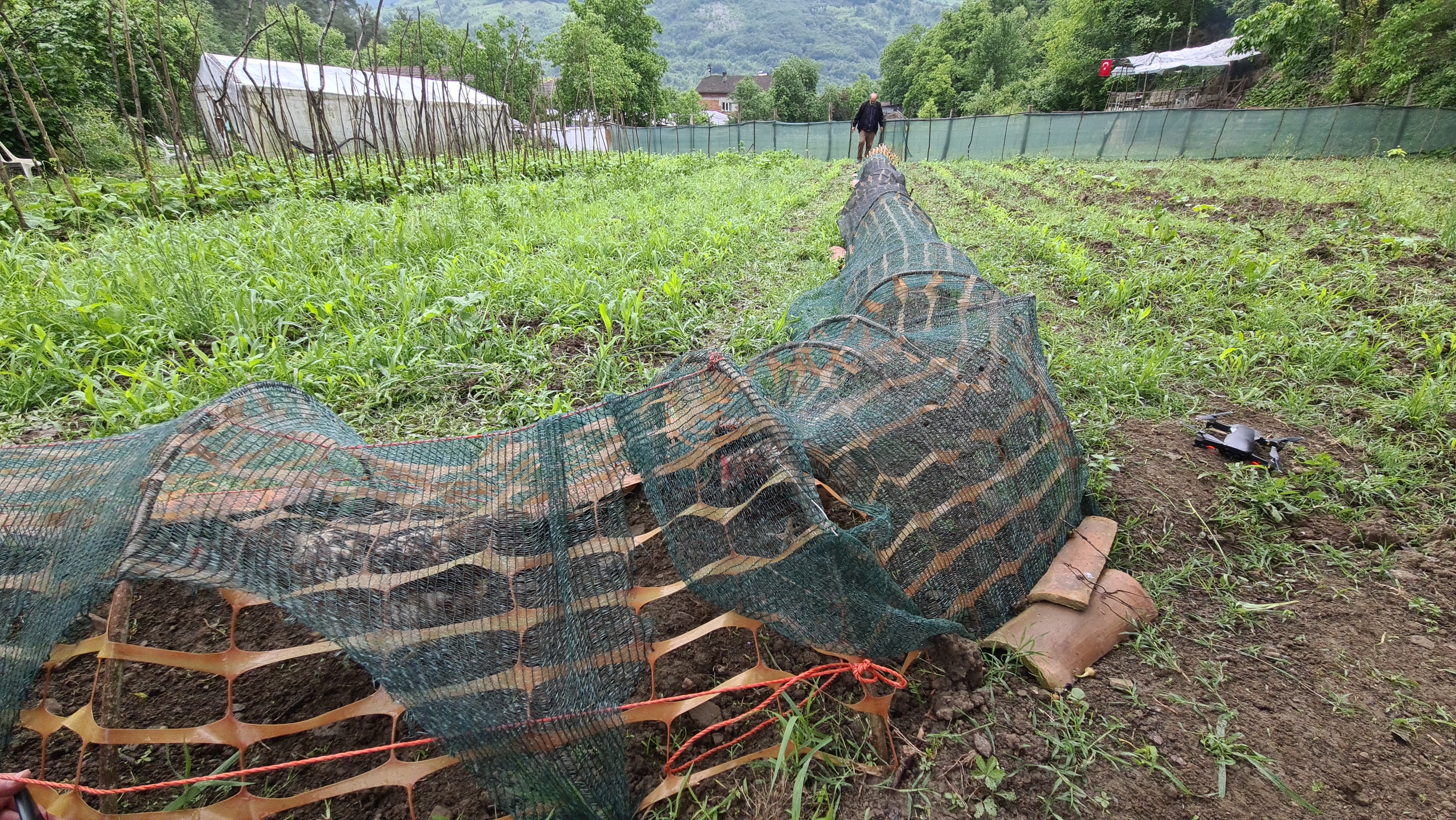 Tavuklara tünelle transit geçiş