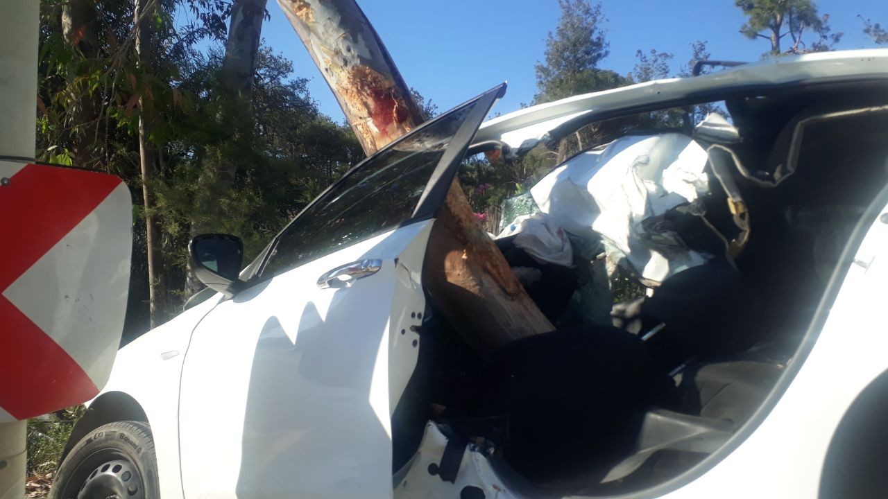 Ağaca çarpan otomobil adeta ortadan ikiye bölündü