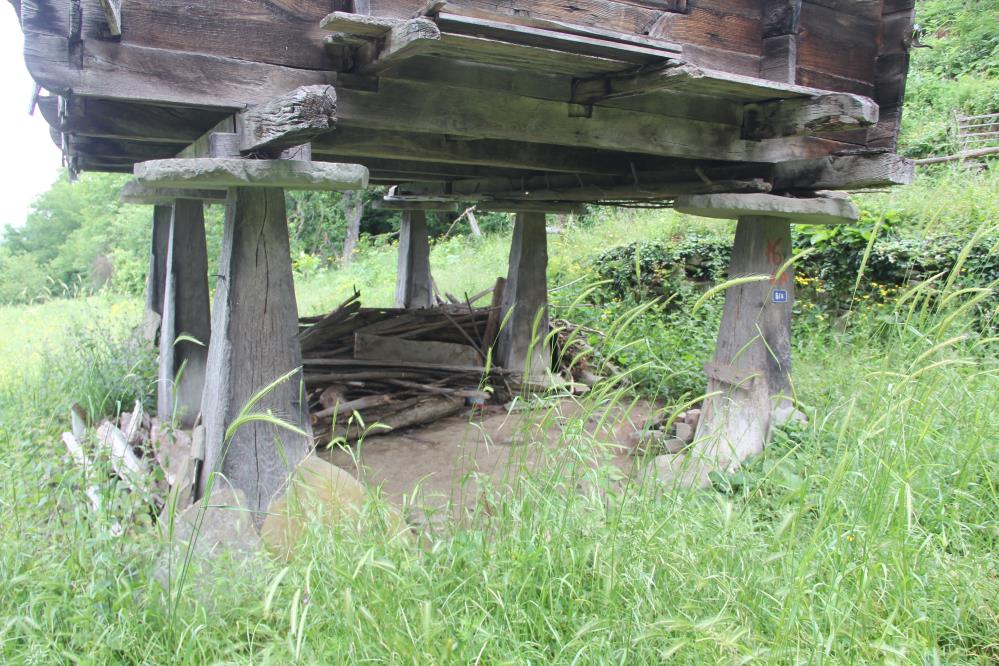 Karadeniz’in mühendislik harikası: Serender