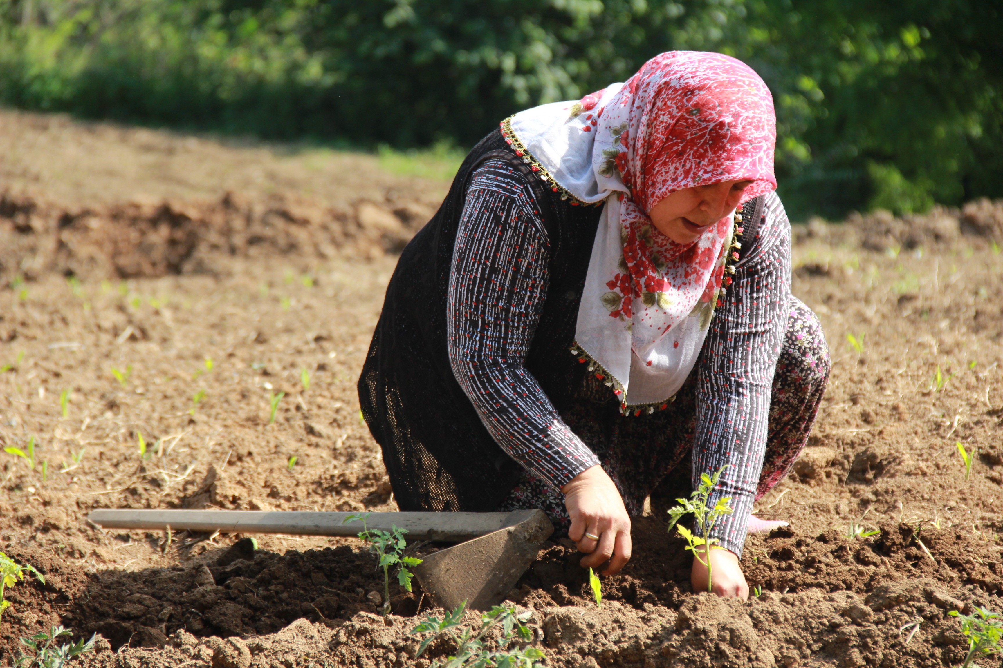O, tozlu topraklı köy yollarının ATV'li Seher ablası