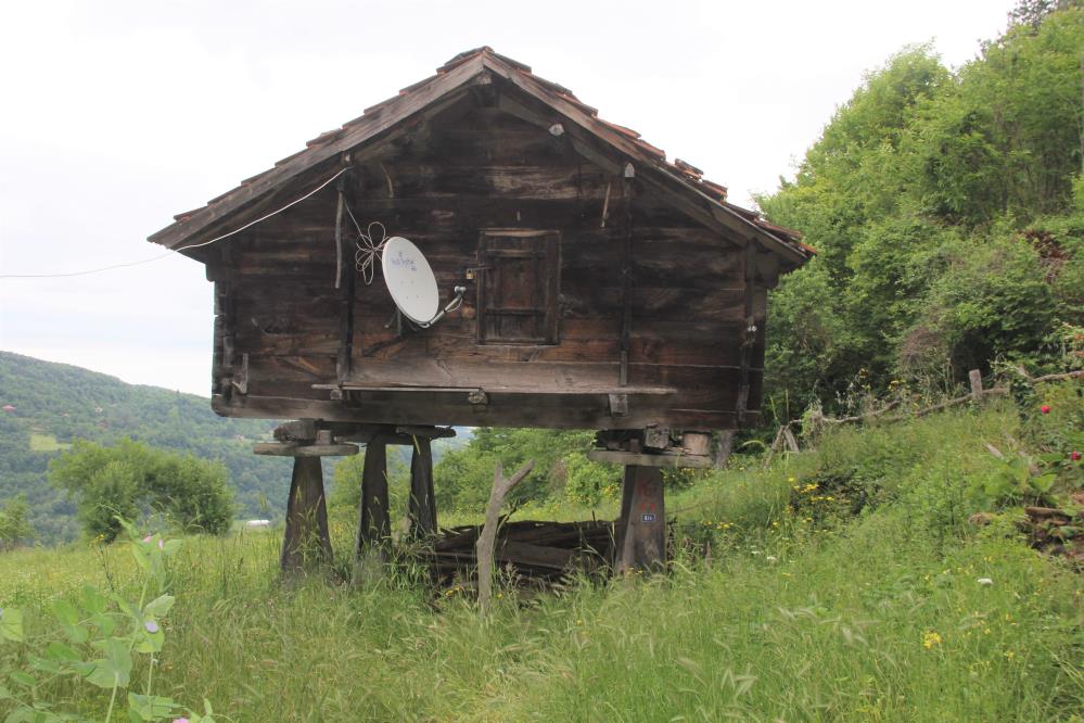 Karadeniz’in mühendislik harikası: Serender